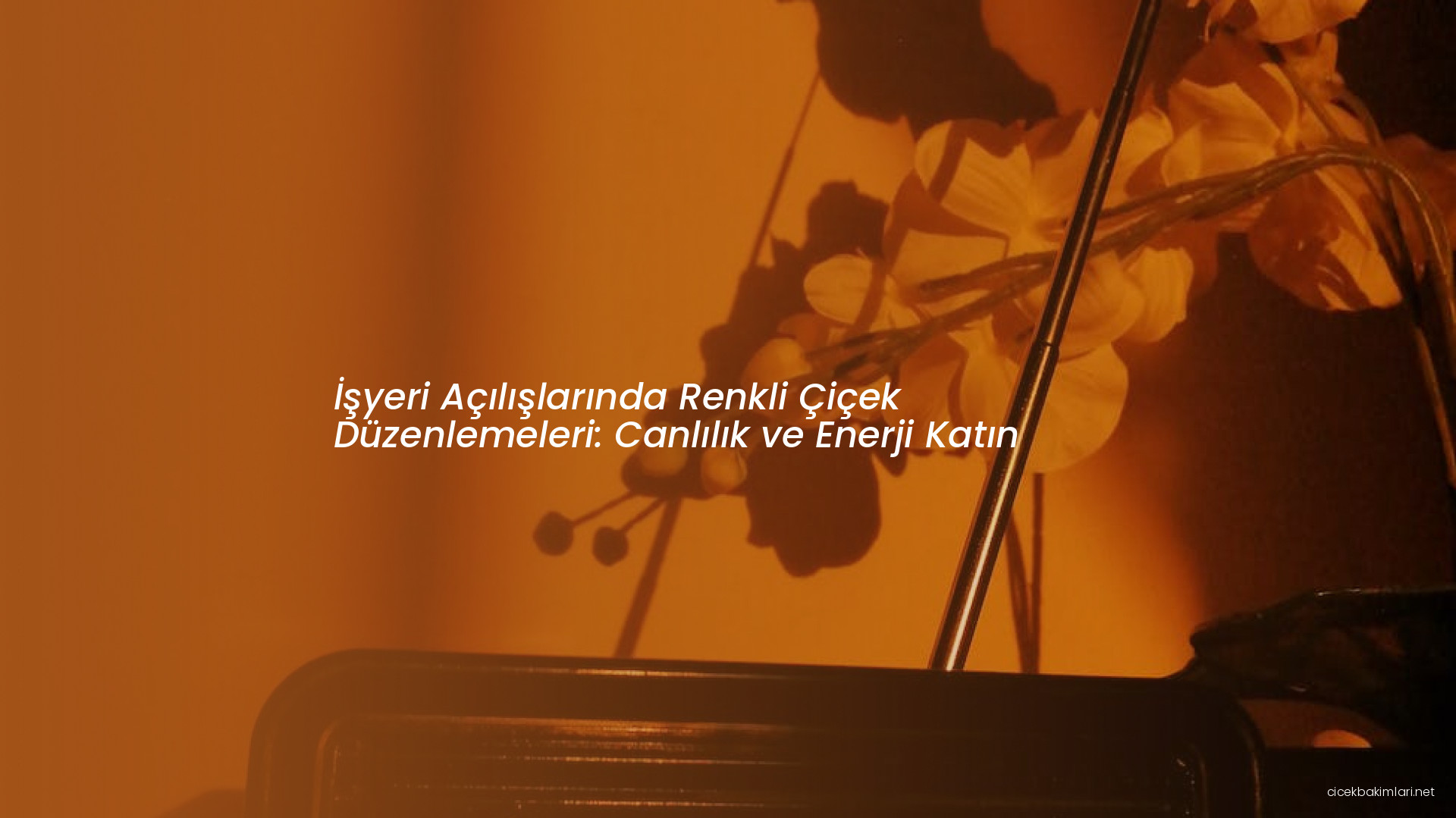 İşyeri Açılışlarında Renkli Çiçek Düzenlemeleri: Canlılık ve Enerji Katın