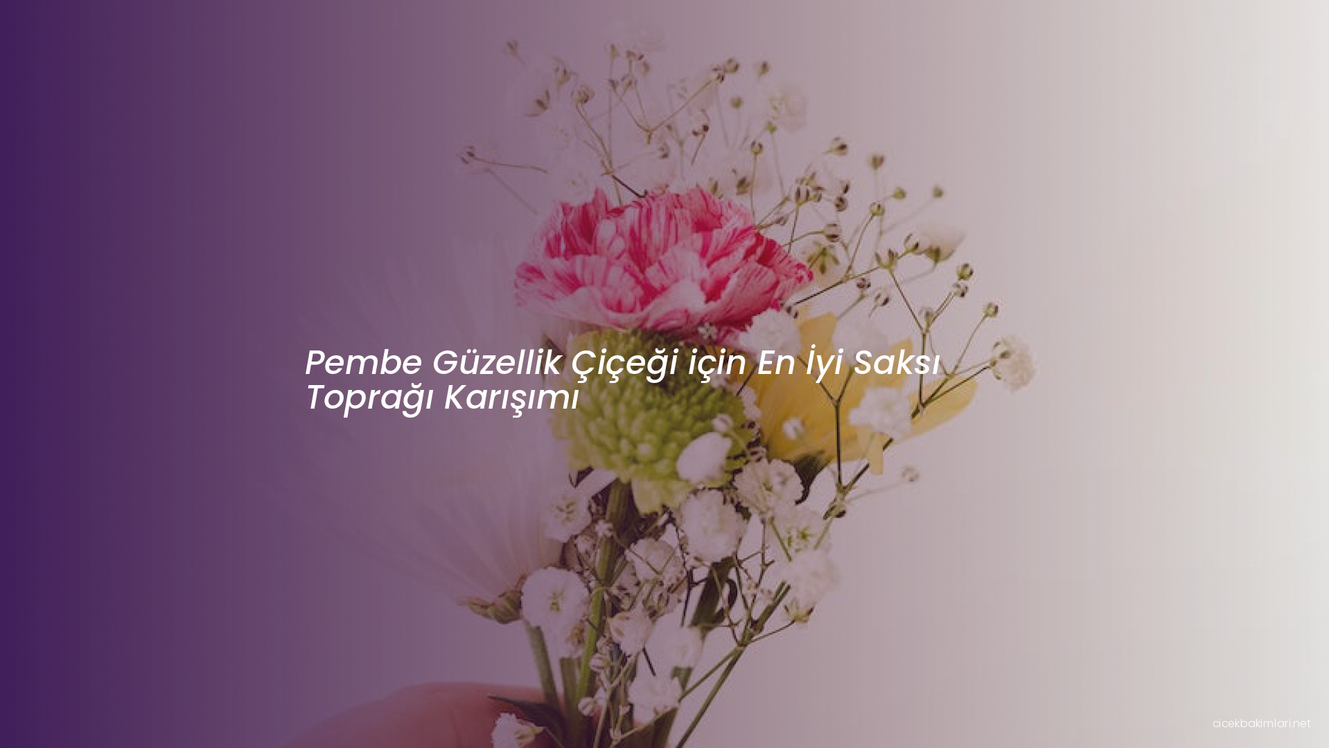 Pembe Güzellik Çiçeği için En İyi Saksı Toprağı Karışımı