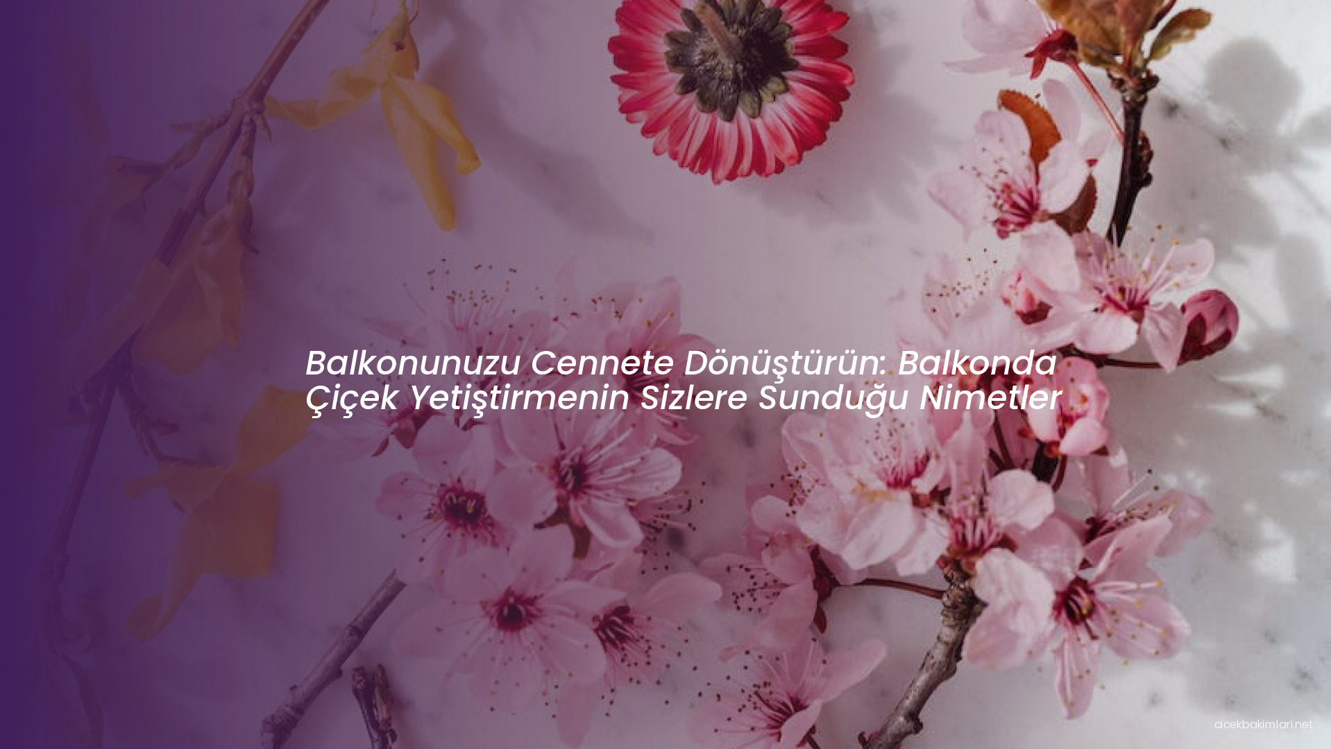 Balkonunuzu Cennete Dönüştürün: Balkonda Çiçek Yetiştirmenin Sizlere Sunduğu Nimetler