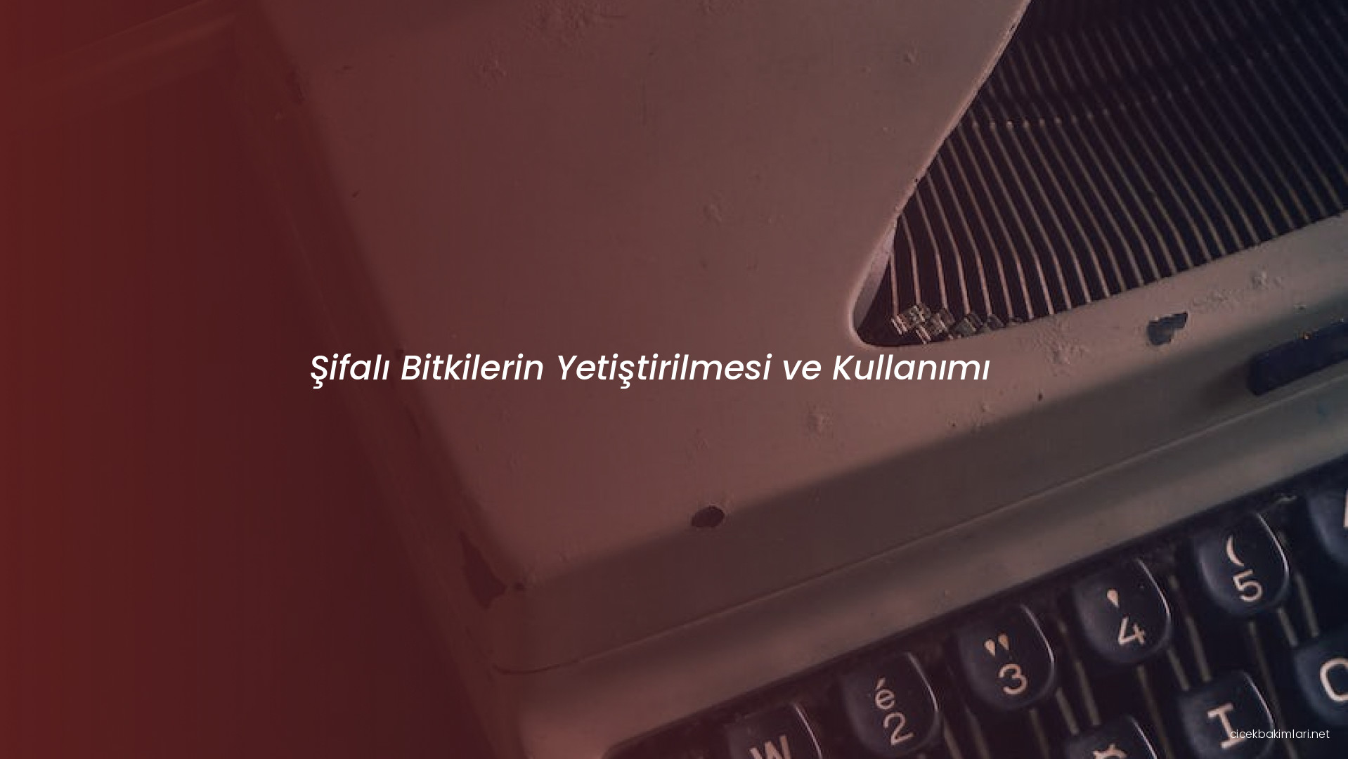 Şifalı Bitkilerin Yetiştirilmesi ve Kullanımı