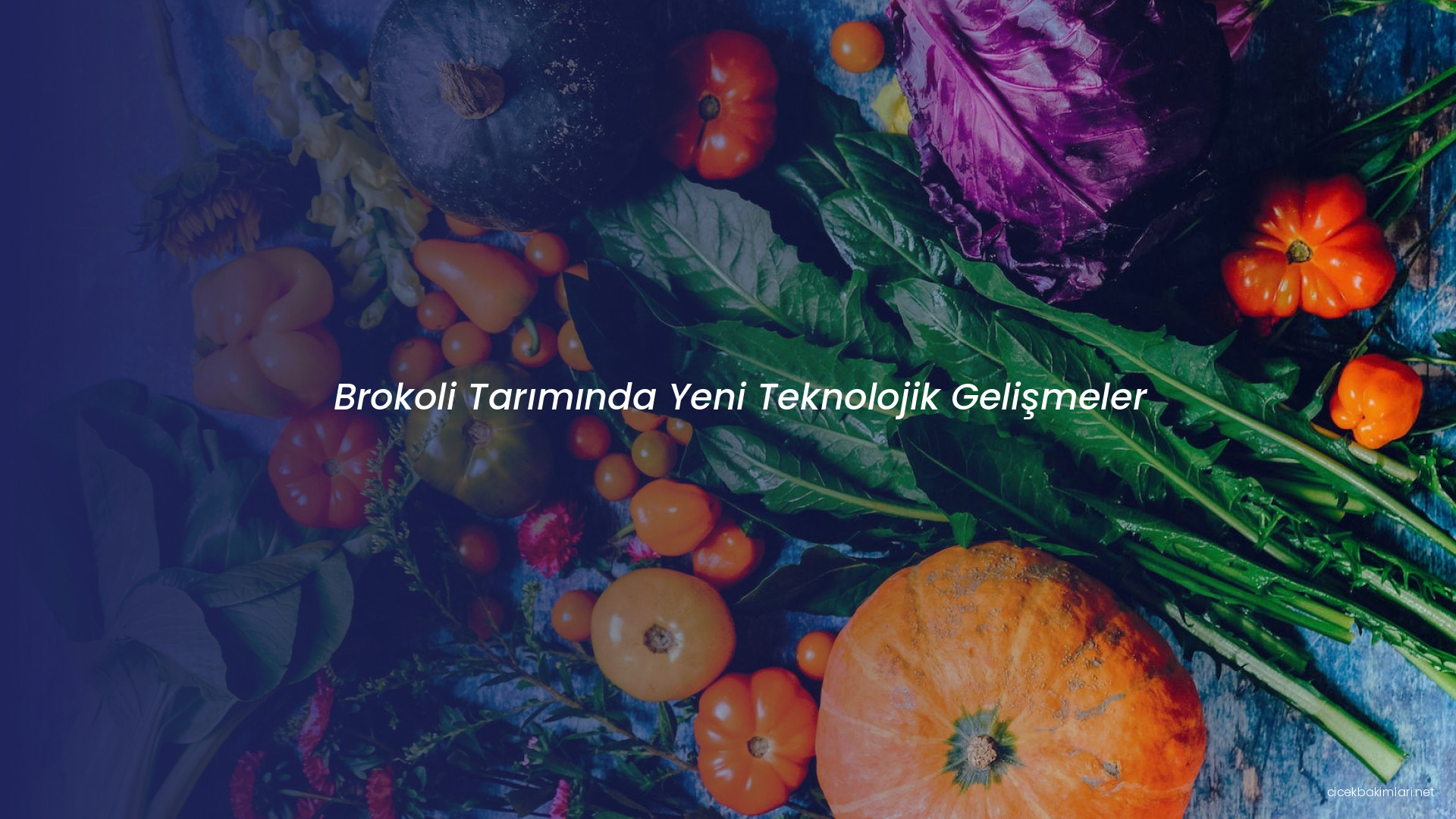 Brokoli Tarımında Yeni Teknolojik Gelişmeler