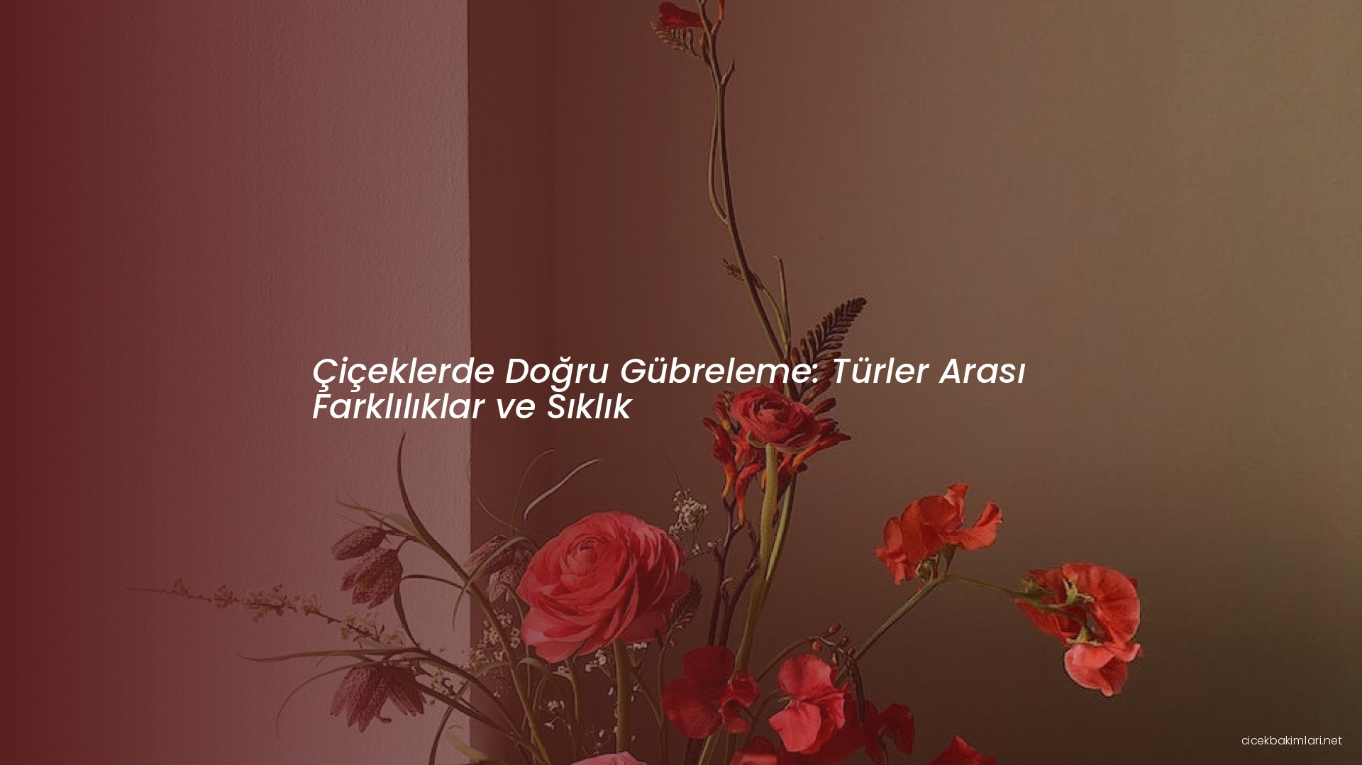 Çiçeklerde Doğru Gübreleme: Türler Arası Farklılıklar ve Sıklık