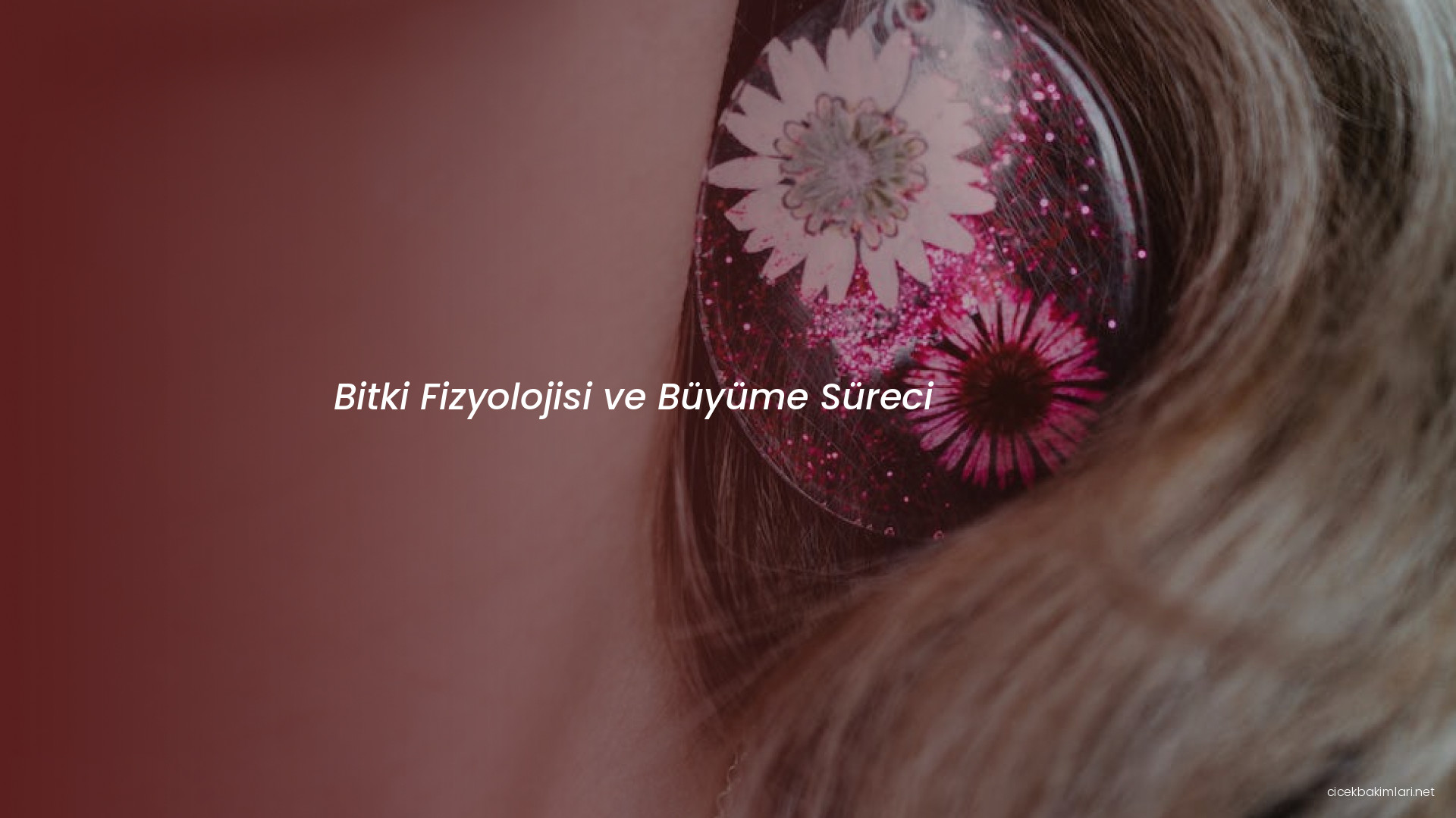 Bitki Fizyolojisi ve Büyüme Süreci