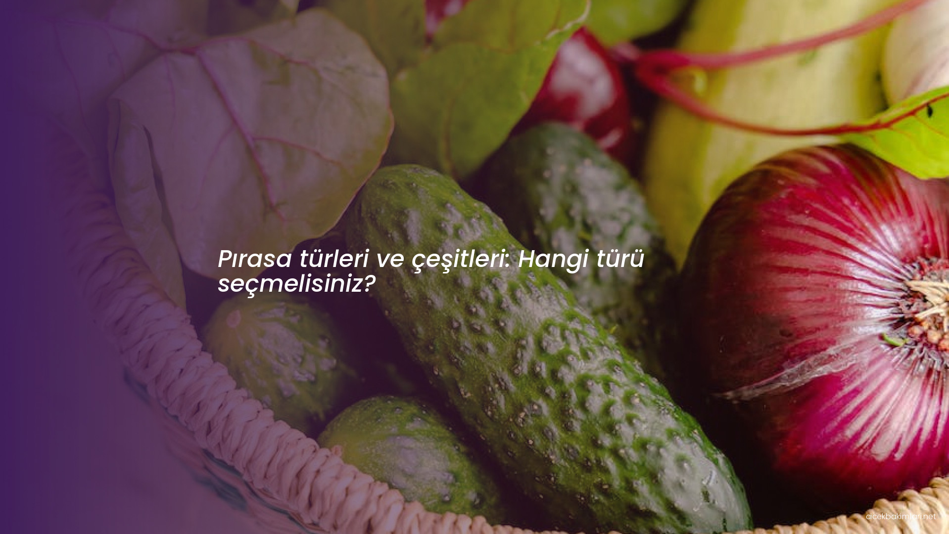 Pırasa türleri ve çeşitleri: Hangi türü seçmelisiniz?