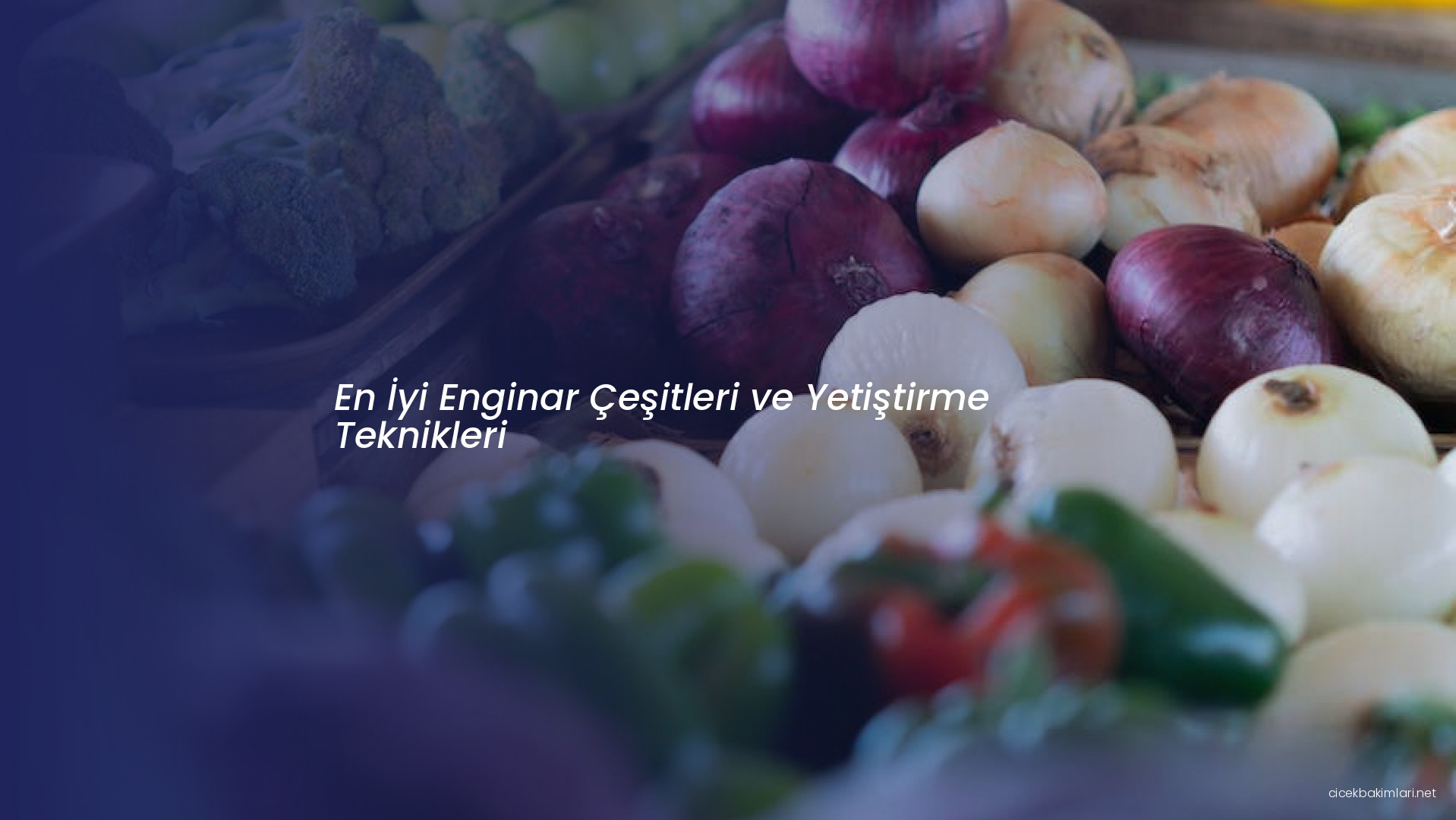 En İyi Enginar Çeşitleri ve Yetiştirme Teknikleri