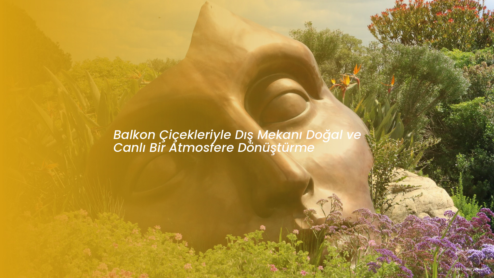 Balkon Çiçekleriyle Dış Mekanı Doğal ve Canlı Bir Atmosfere Dönüştürme