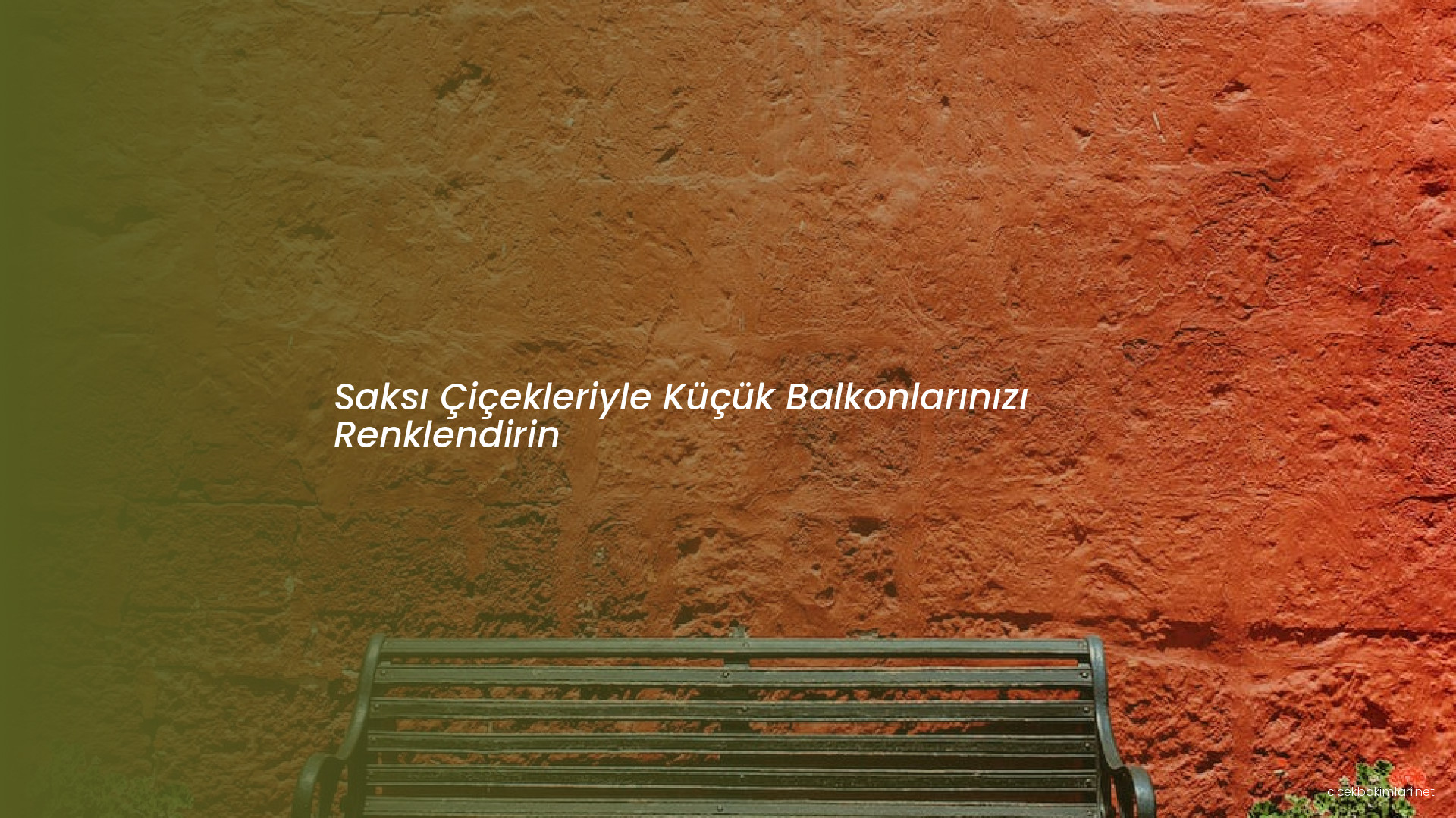 Saksı Çiçekleriyle Küçük Balkonlarınızı Renklendirin