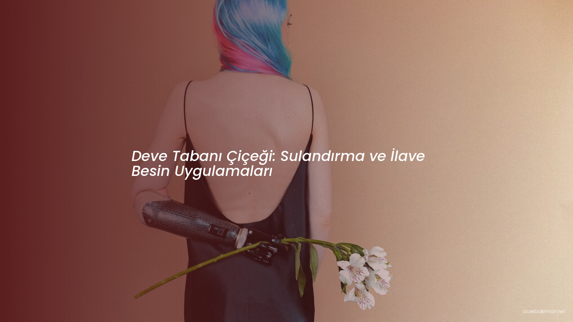 Deve Tabanı Çiçeği: Sulandırma ve İlave Besin Uygulamaları