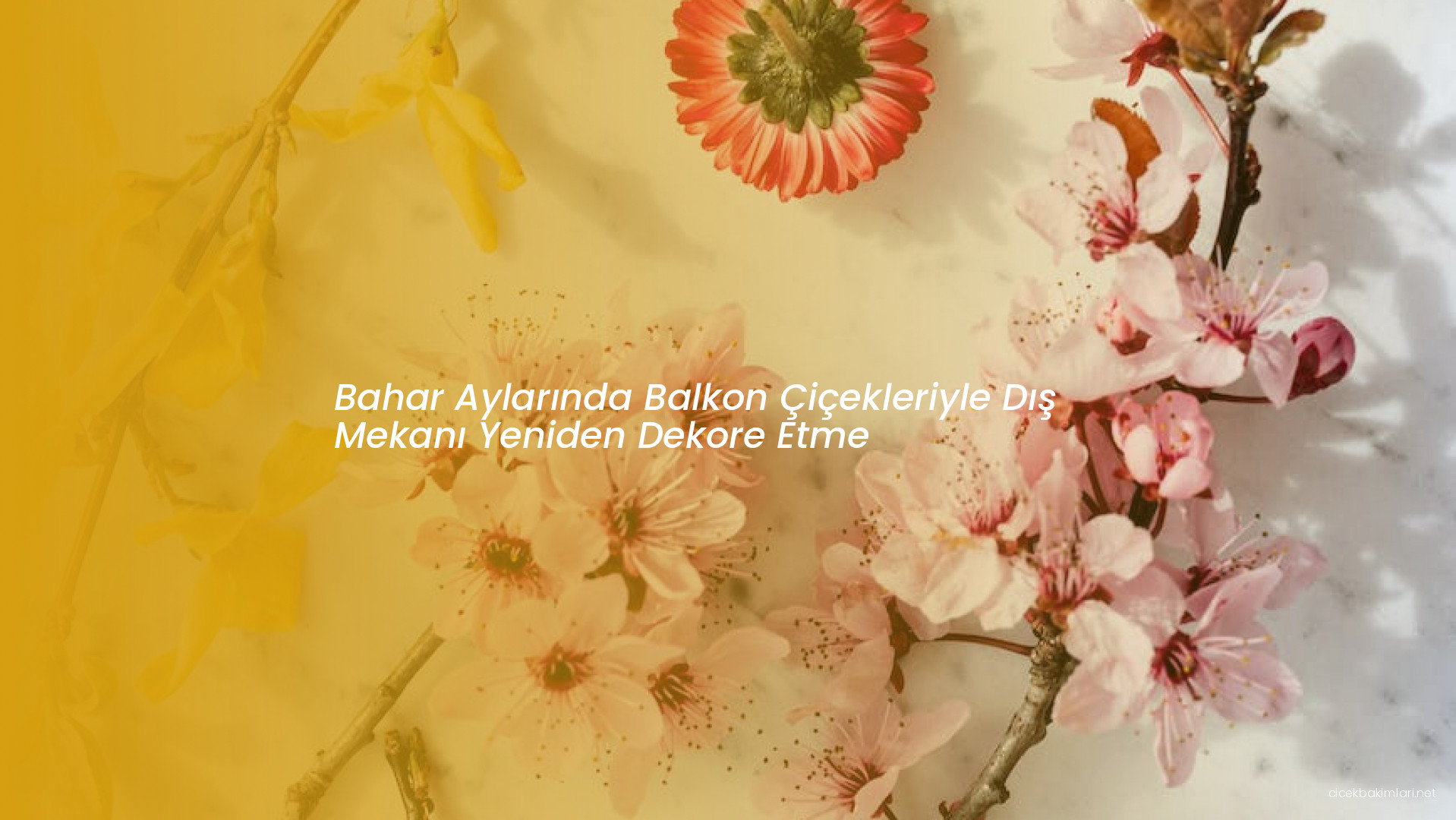 Bahar Aylarında Balkon Çiçekleriyle Dış Mekanı Yeniden Dekore Etme