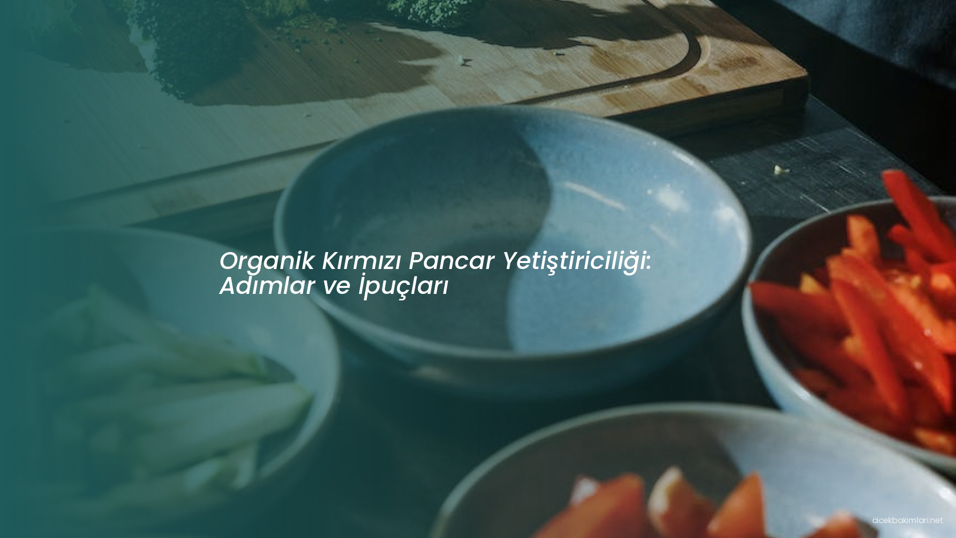 Organik Kırmızı Pancar Yetiştiriciliği: Adımlar ve İpuçları