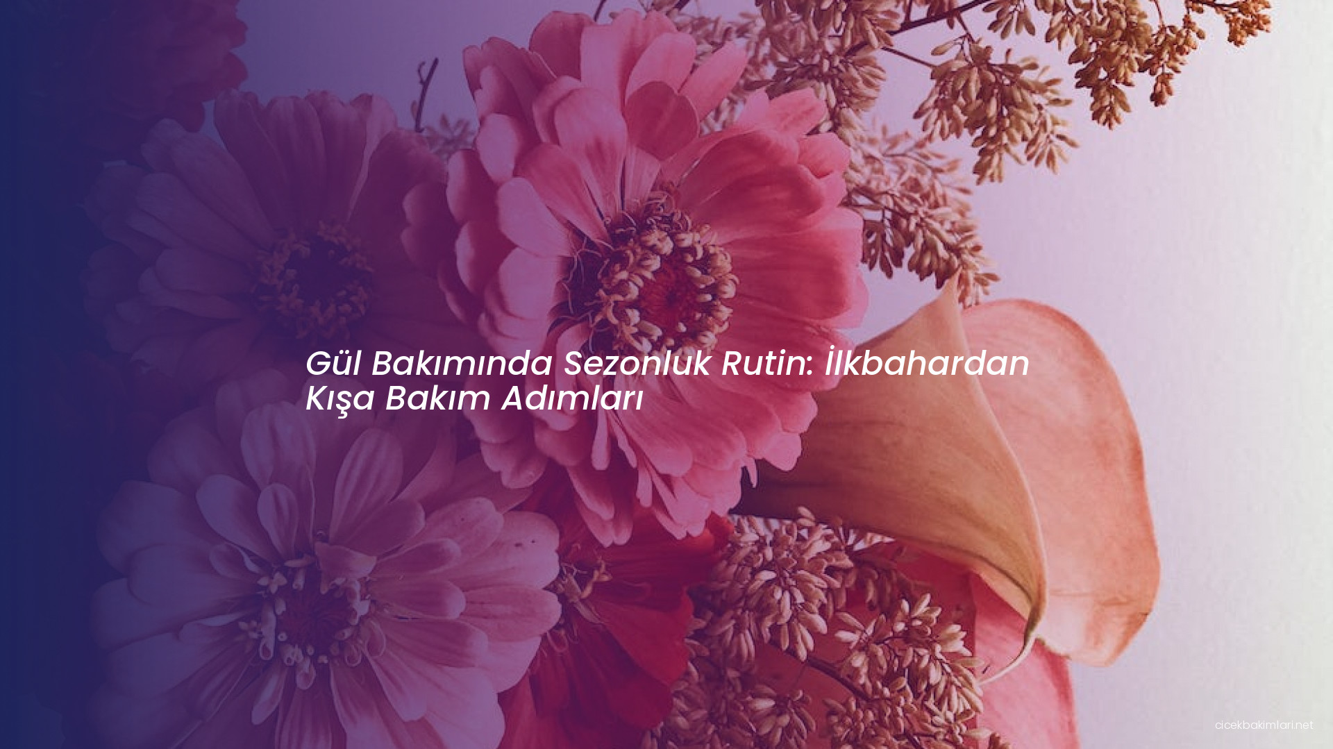 Gül Bakımında Sezonluk Rutin: İlkbahardan Kışa Bakım Adımları