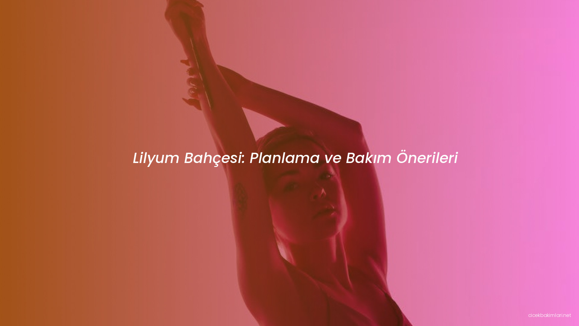 Lilyum Bahçesi: Planlama ve Bakım Önerileri