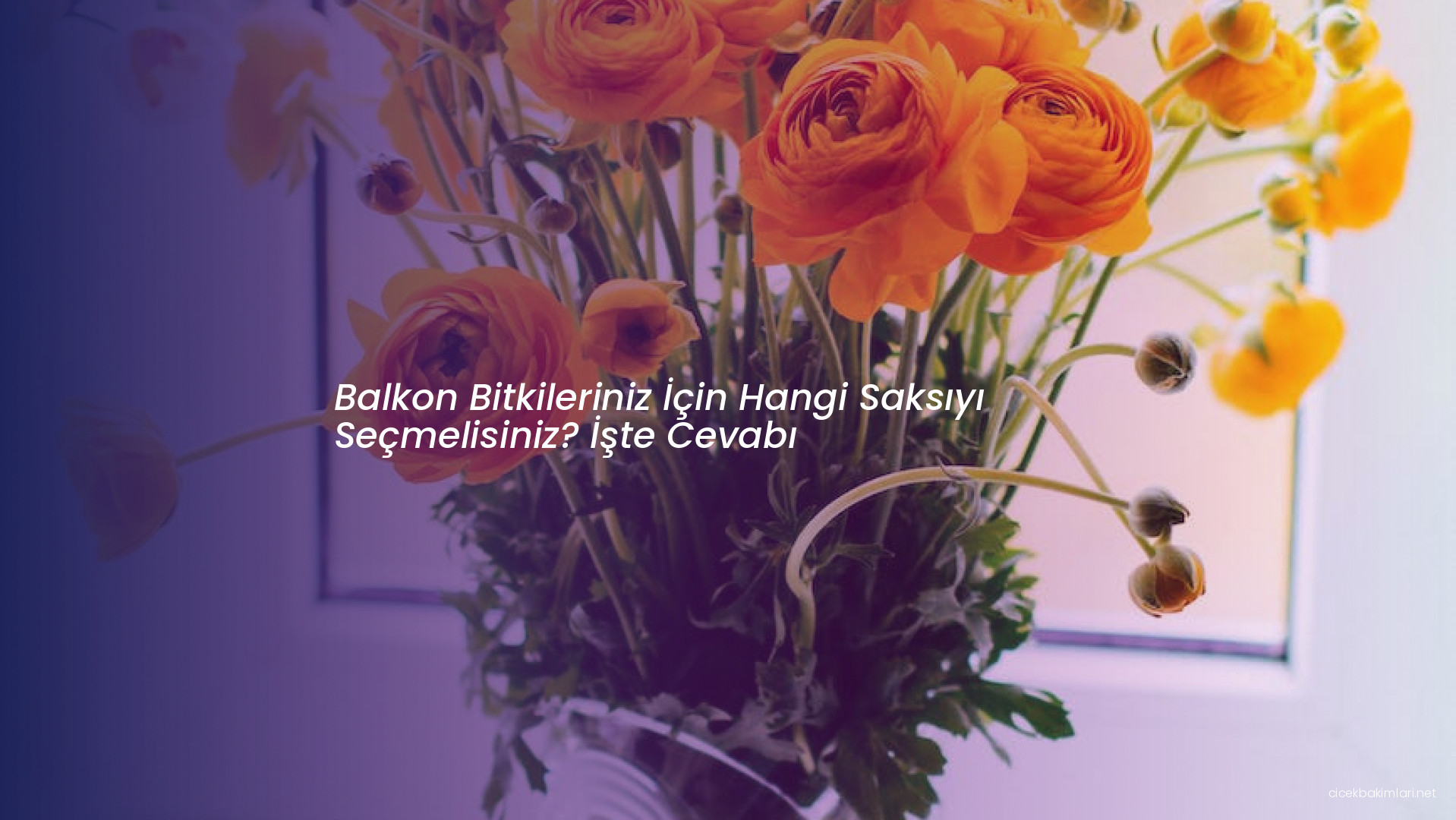 Balkon Bitkileriniz İçin Hangi Saksıyı Seçmelisiniz? İşte Cevabı