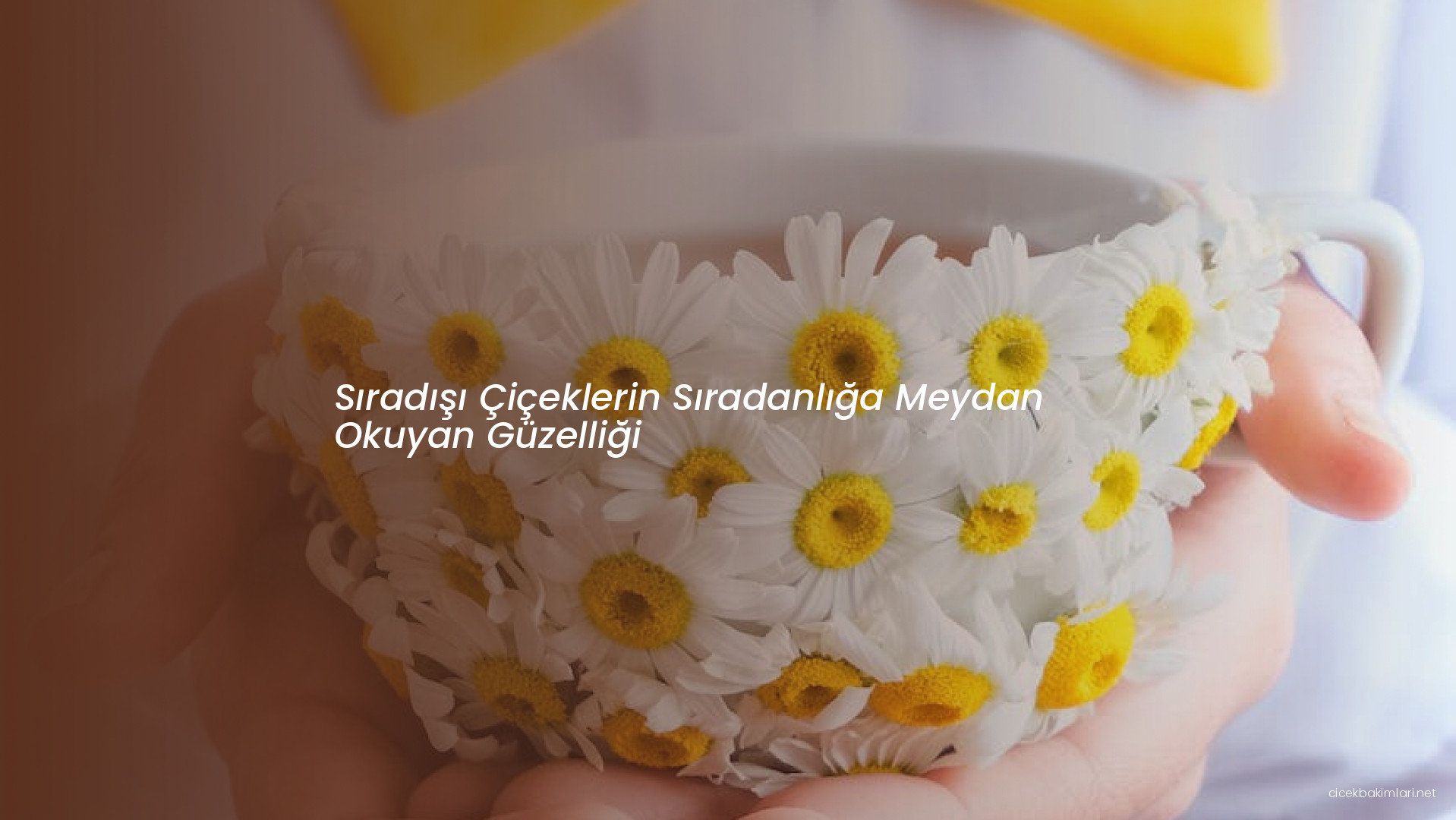 Sıradışı Çiçeklerin Sıradanlığa Meydan Okuyan Güzelliği