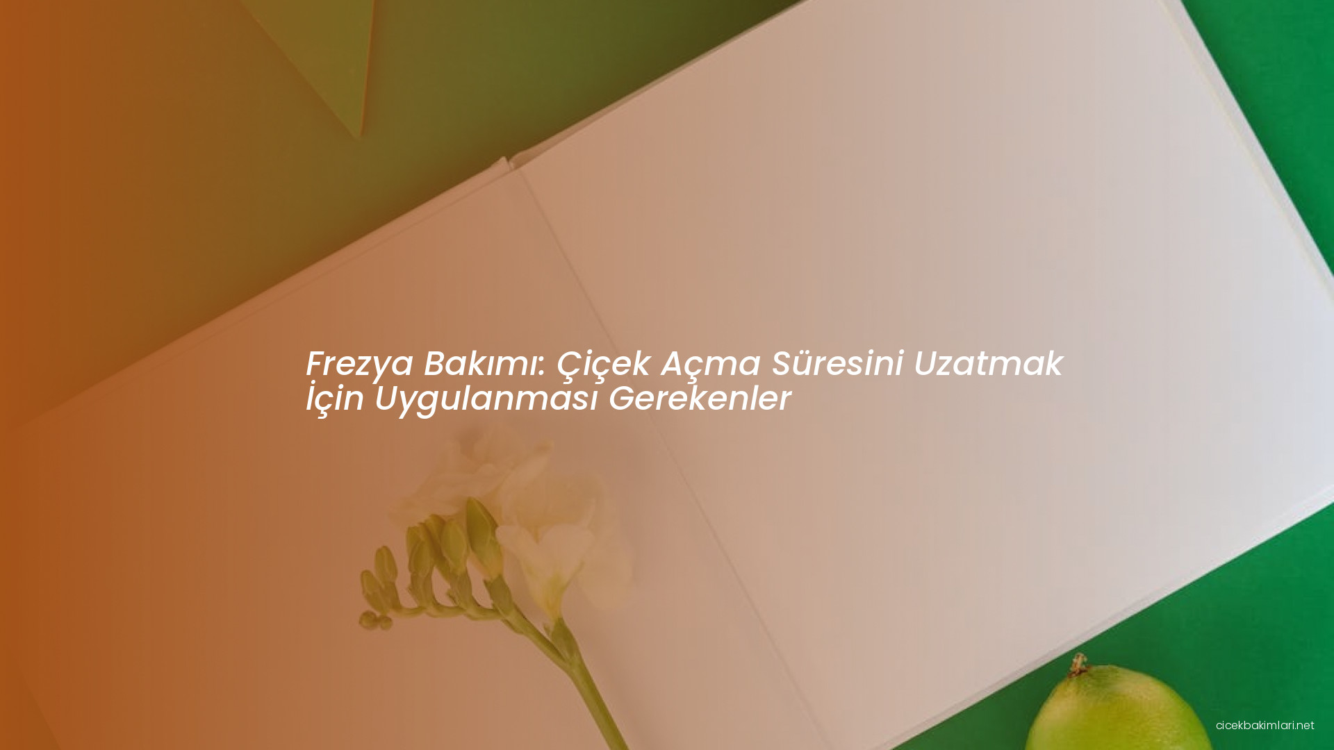 Frezya Bakımı: Çiçek Açma Süresini Uzatmak İçin Uygulanması Gerekenler
