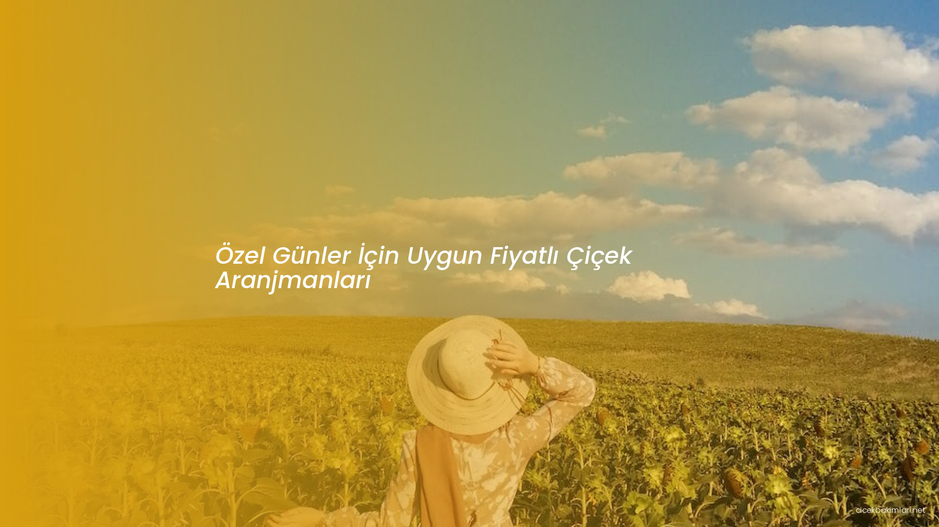 Özel Günler İçin Uygun Fiyatlı Çiçek Aranjmanları