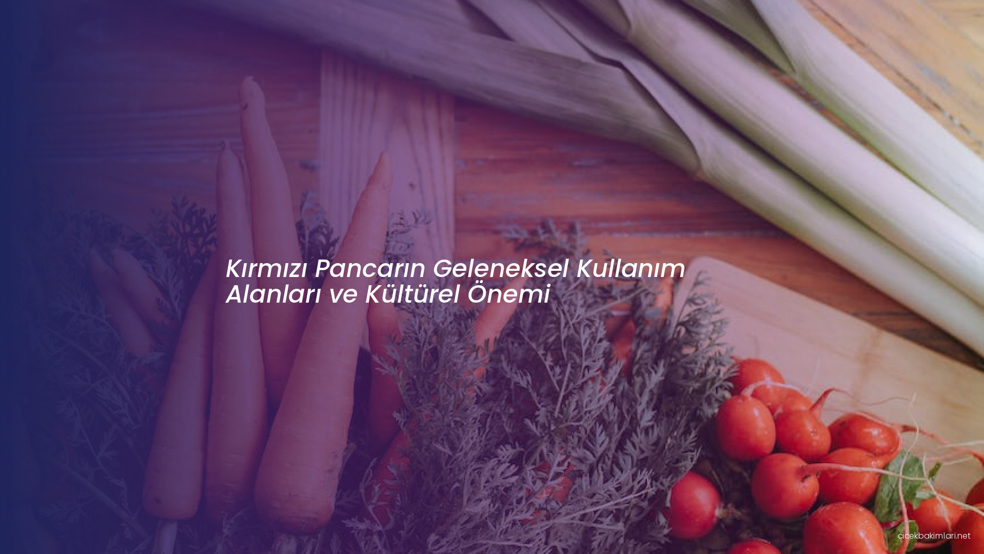 Kırmızı Pancarın Geleneksel Kullanım Alanları ve Kültürel Önemi