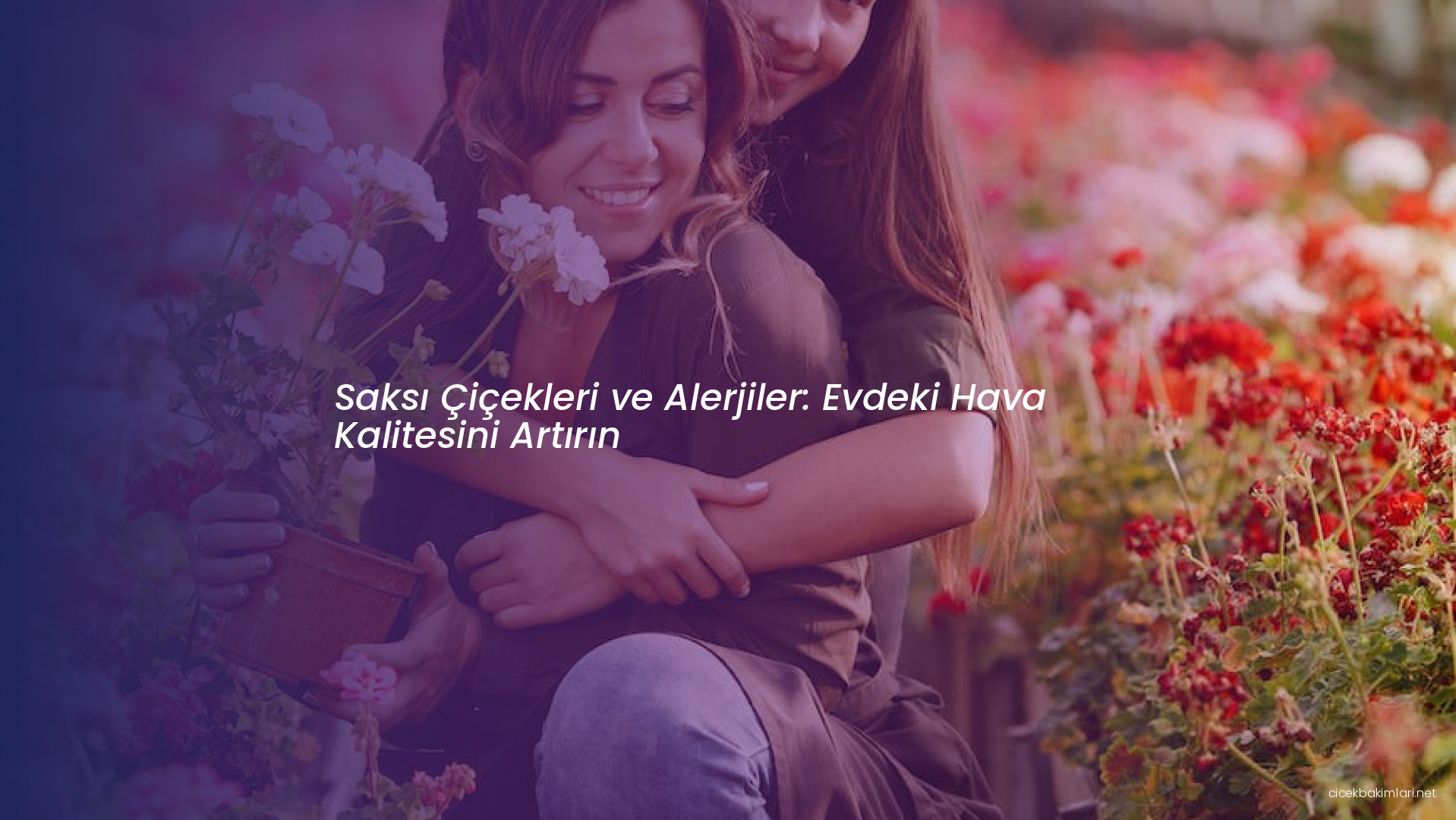 Saksı Çiçekleri ve Alerjiler: Evdeki Hava Kalitesini Artırın