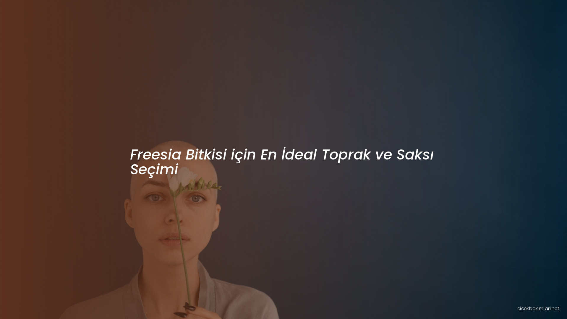 Freesia Bitkisi için En İdeal Toprak ve Saksı Seçimi