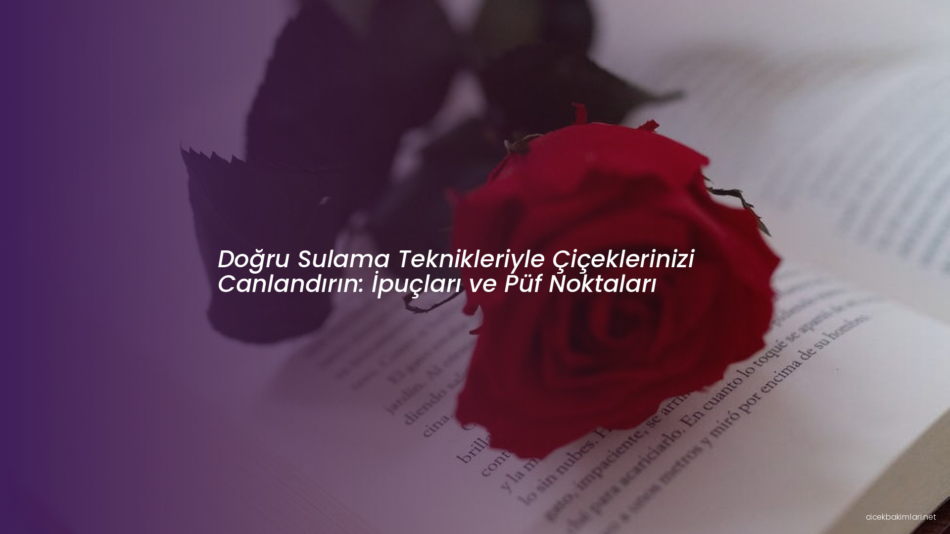 Doğru Sulama Teknikleriyle Çiçeklerinizi Canlandırın: İpuçları ve Püf Noktaları