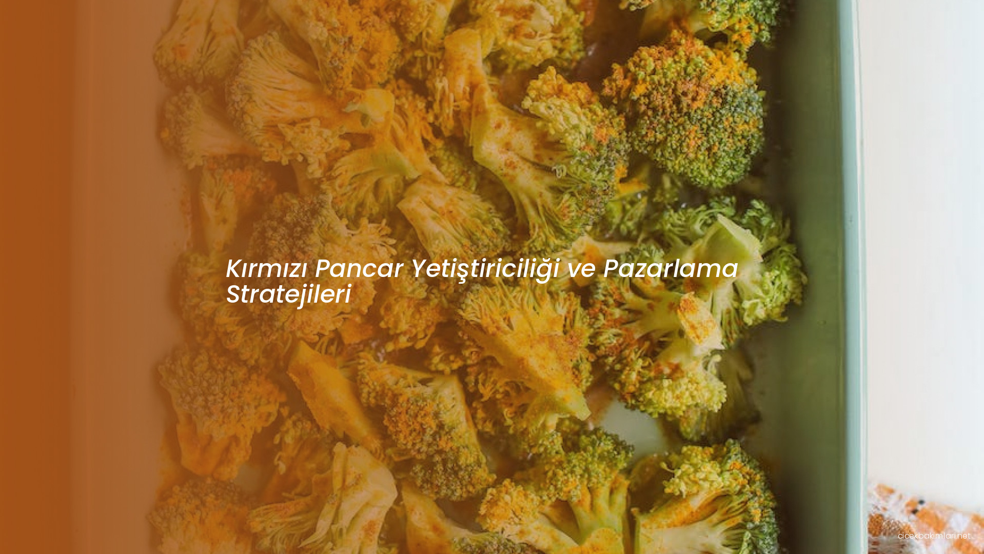 Kırmızı Pancar Yetiştiriciliği ve Pazarlama Stratejileri