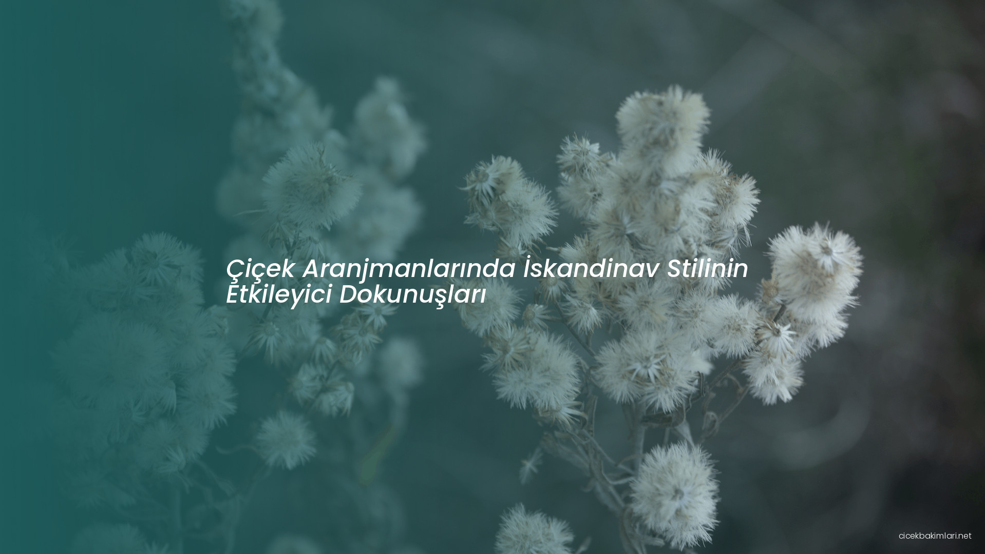 Çiçek Aranjmanlarında İskandinav Stilinin Etkileyici Dokunuşları