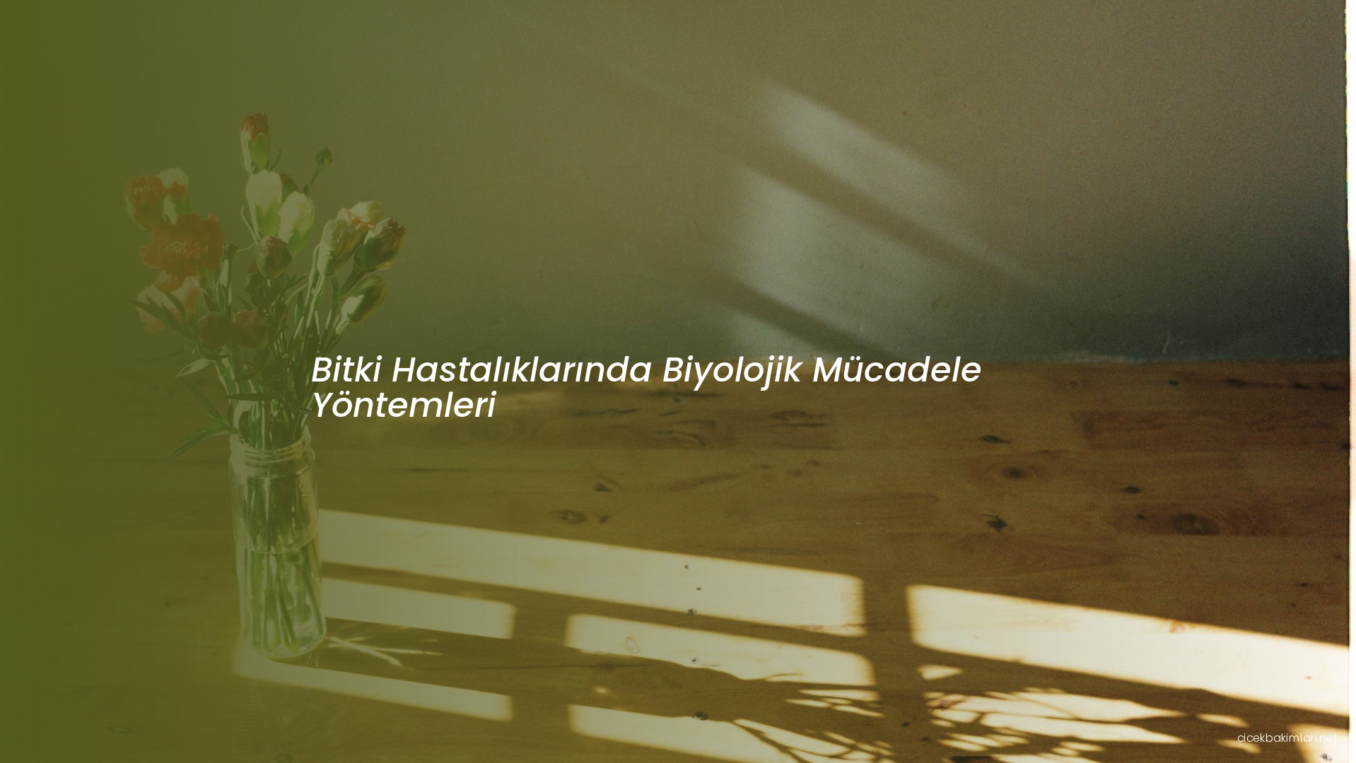 Bitki Hastalıklarında Biyolojik Mücadele Yöntemleri