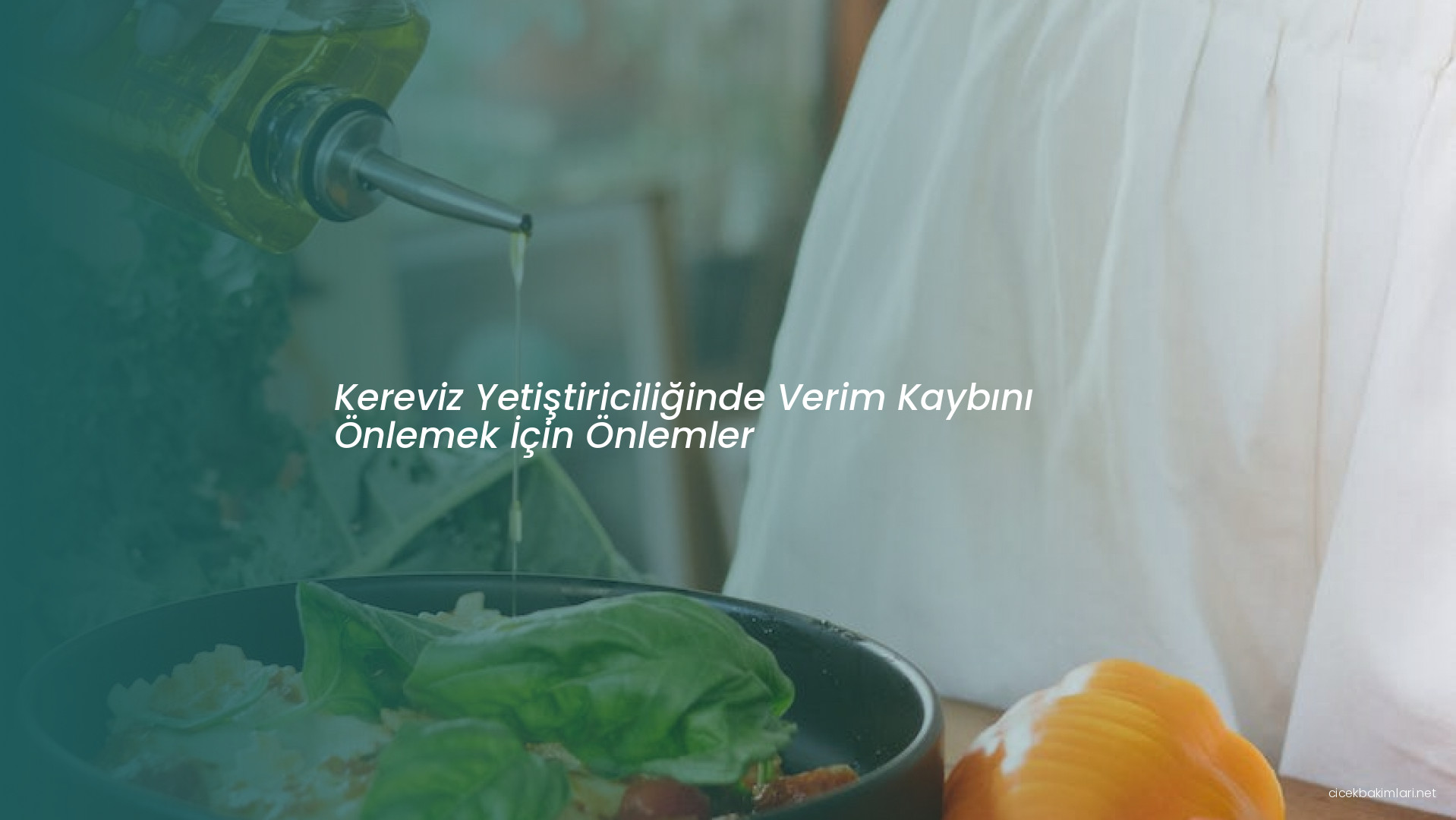 Kereviz Yetiştiriciliğinde Verim Kaybını Önlemek İçin Önlemler