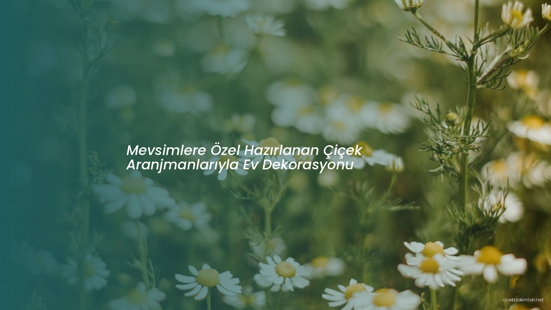 Mevsimlere Özel Hazırlanan Çiçek Aranjmanlarıyla Ev Dekorasyonu