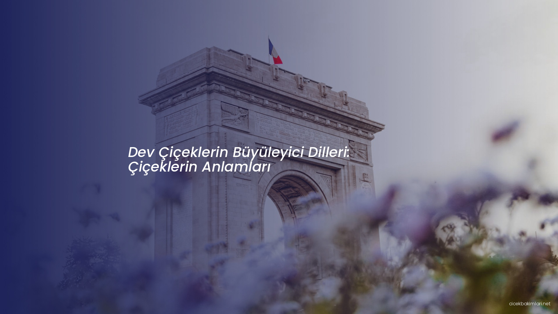 Dev Çiçeklerin Büyüleyici Dilleri: Çiçeklerin Anlamları
