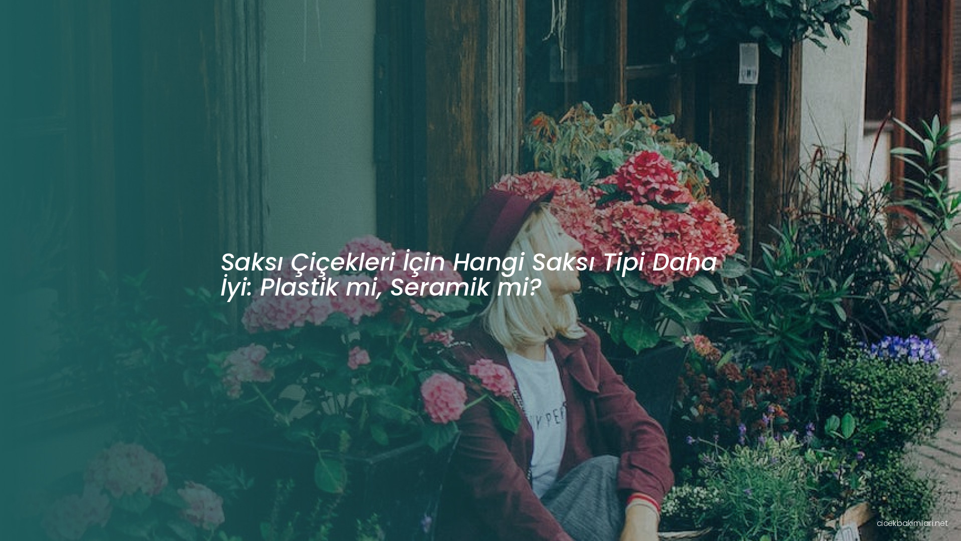 Saksı Çiçekleri İçin Hangi Saksı Tipi Daha İyi: Plastik mi, Seramik mi?