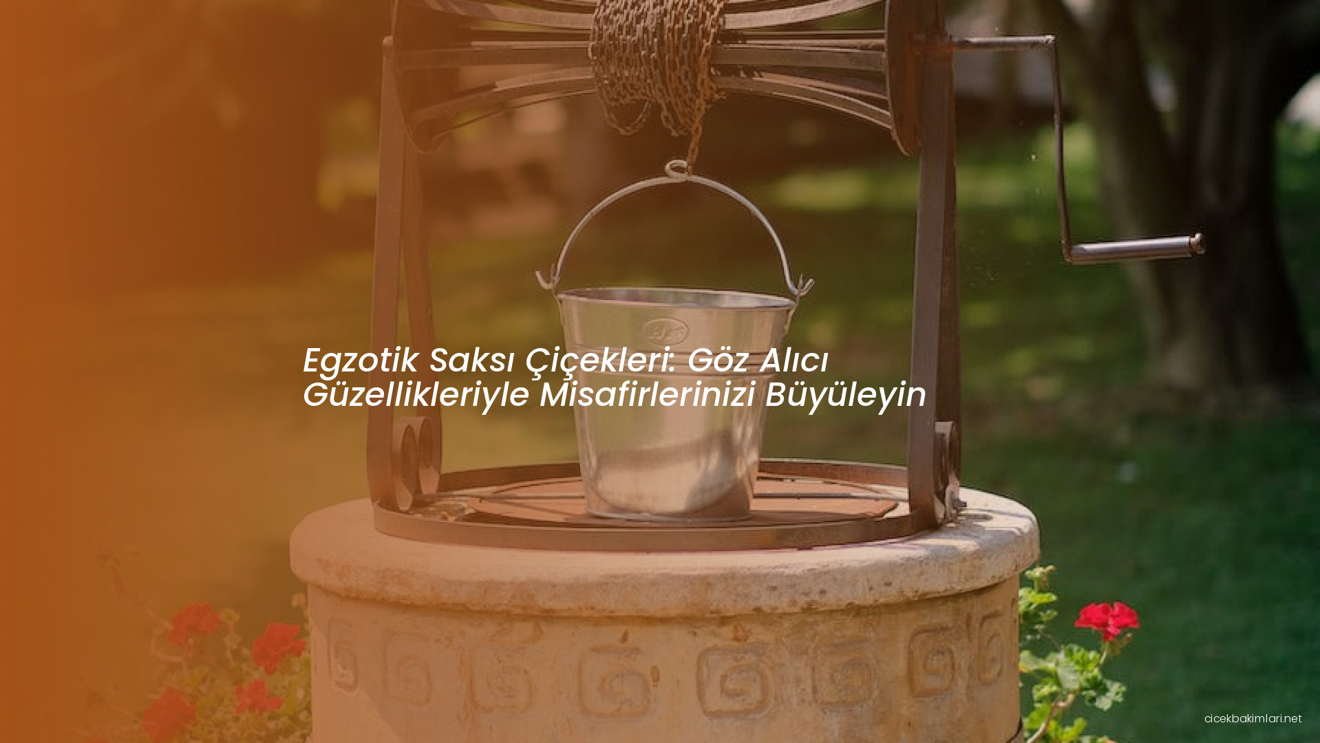 Egzotik Saksı Çiçekleri: Göz Alıcı Güzellikleriyle Misafirlerinizi Büyüleyin