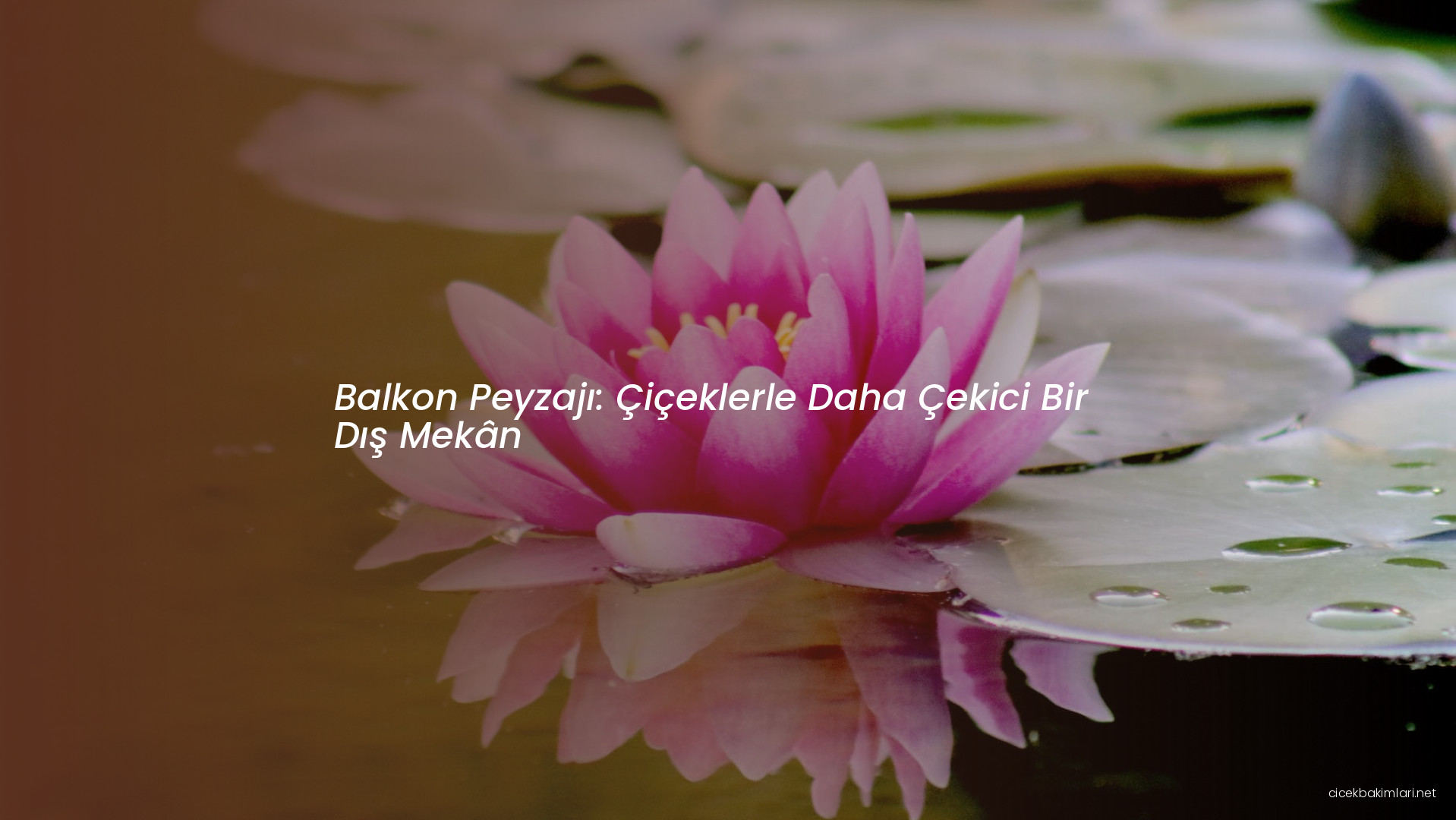Balkon Peyzajı: Çiçeklerle Daha Çekici Bir Dış Mekân