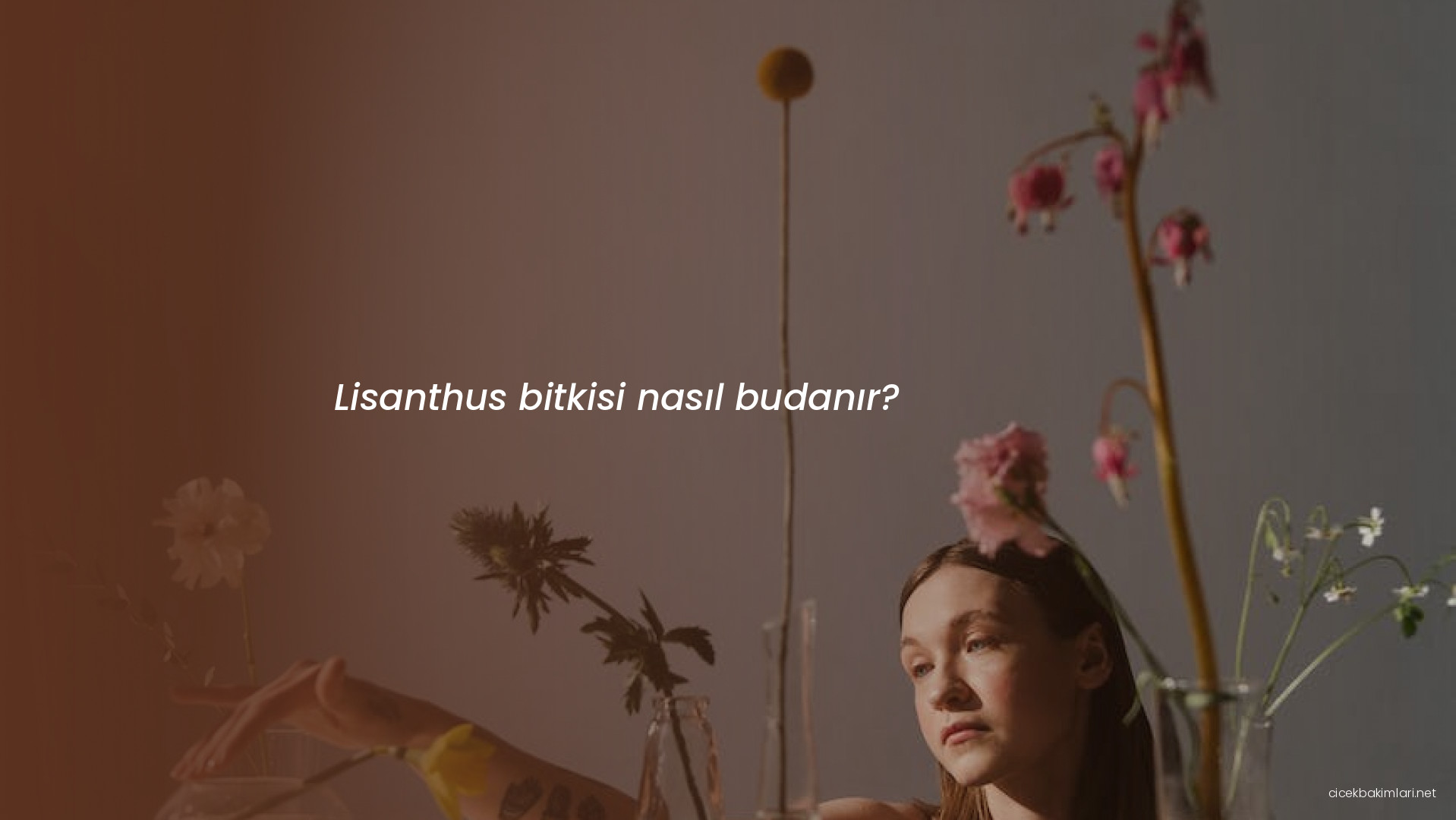 Lisanthus bitkisi nasıl budanır?