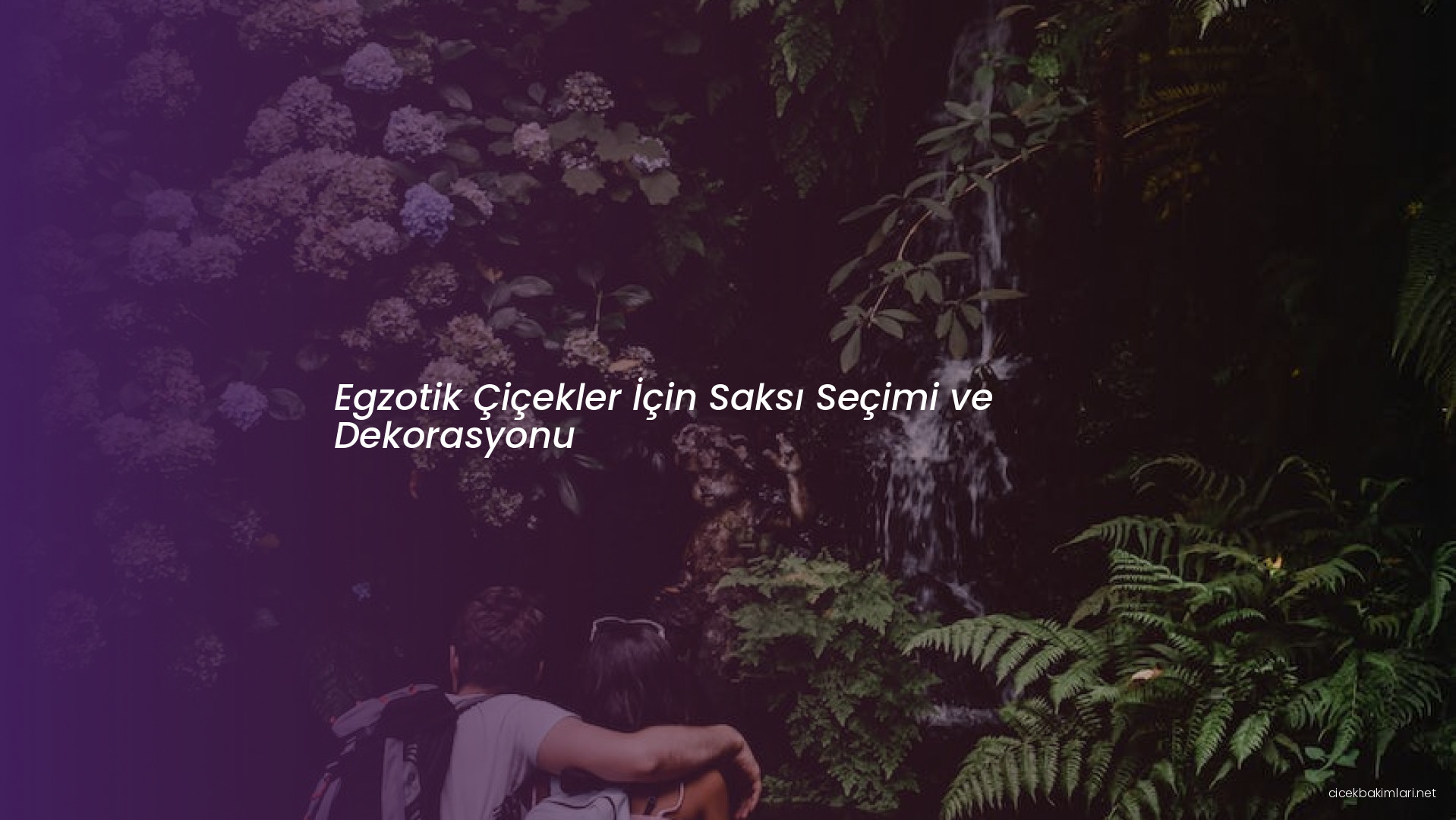 Egzotik Çiçekler İçin Saksı Seçimi ve Dekorasyonu