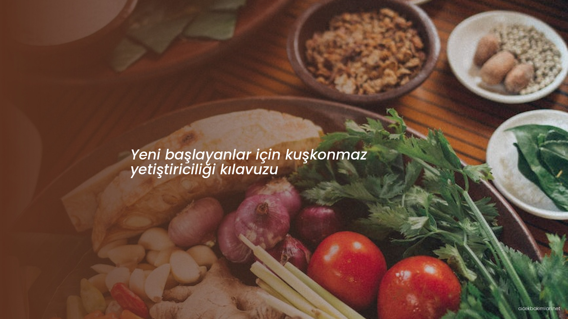 Yeni başlayanlar için kuşkonmaz yetiştiriciliği kılavuzu