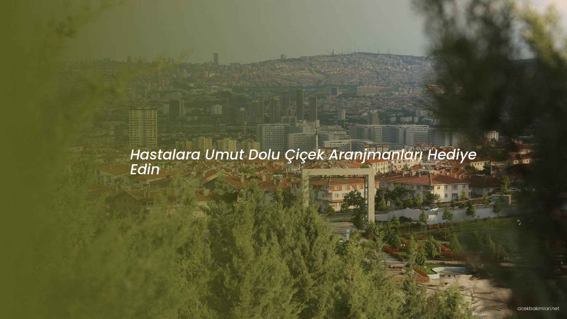 Hastalara Umut Dolu Çiçek Aranjmanları Hediye Edin