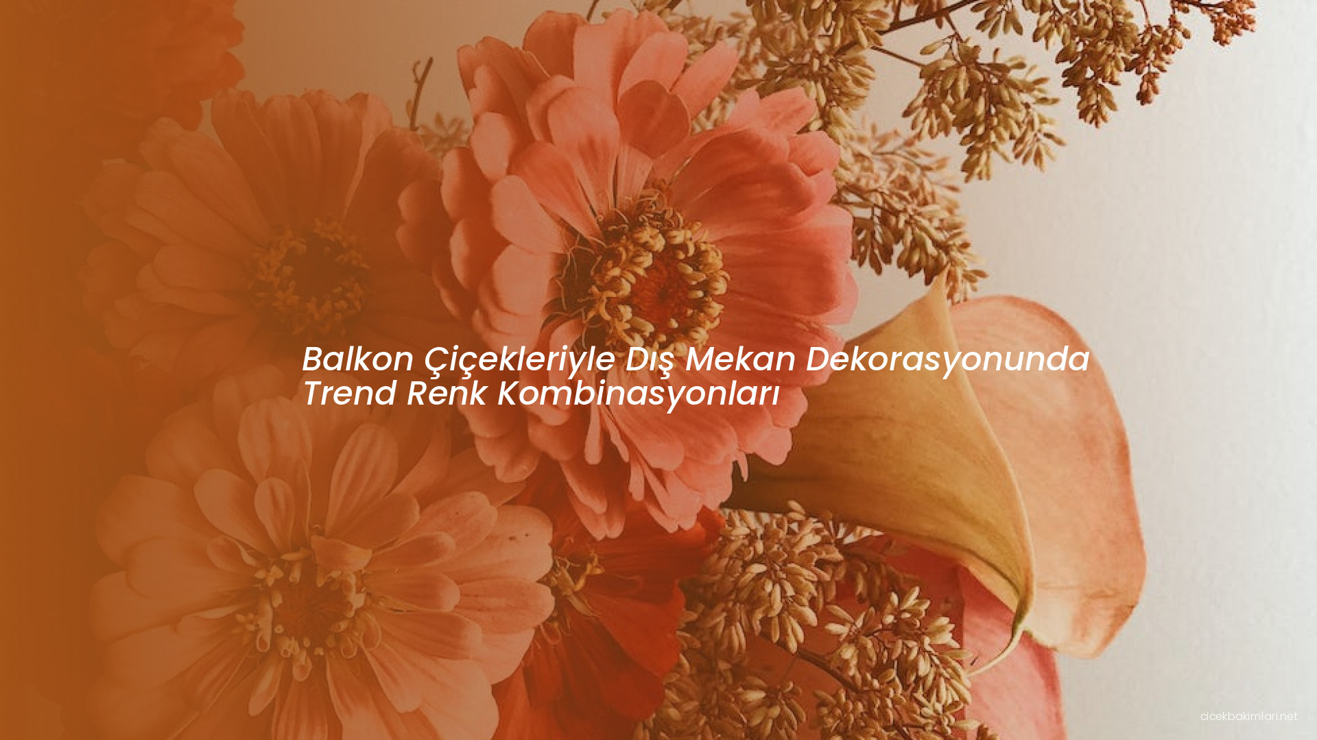 Balkon Çiçekleriyle Dış Mekan Dekorasyonunda Trend Renk Kombinasyonları