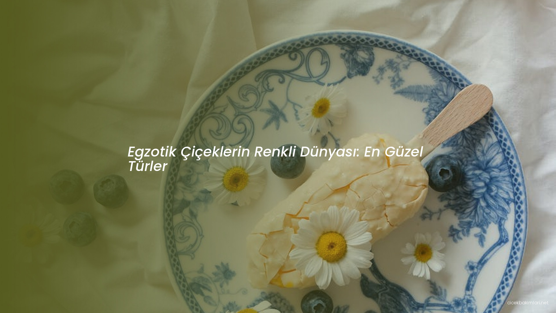 Egzotik Çiçeklerin Renkli Dünyası: En Güzel Türler