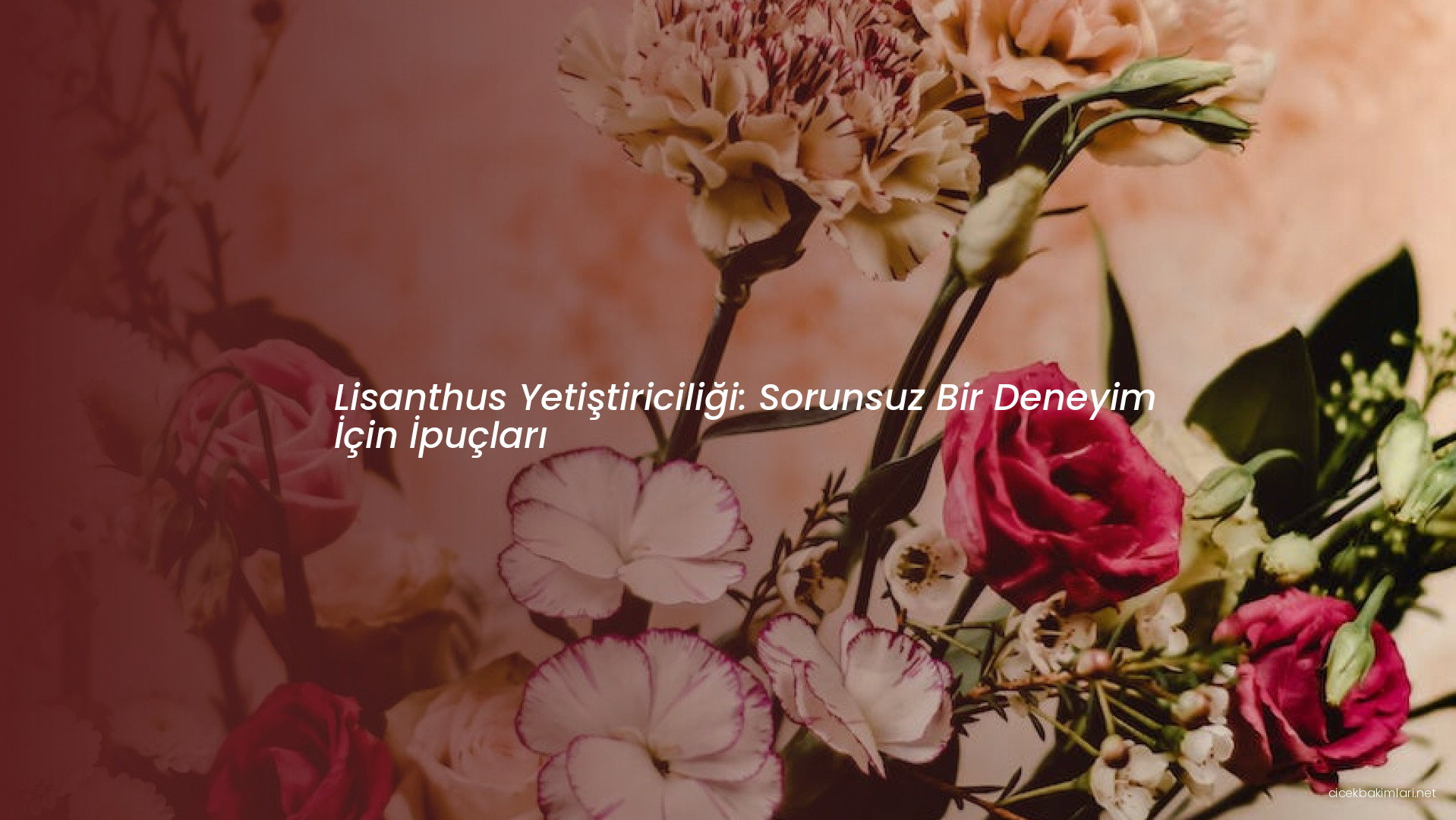 Lisanthus Yetiştiriciliği: Sorunsuz Bir Deneyim İçin İpuçları