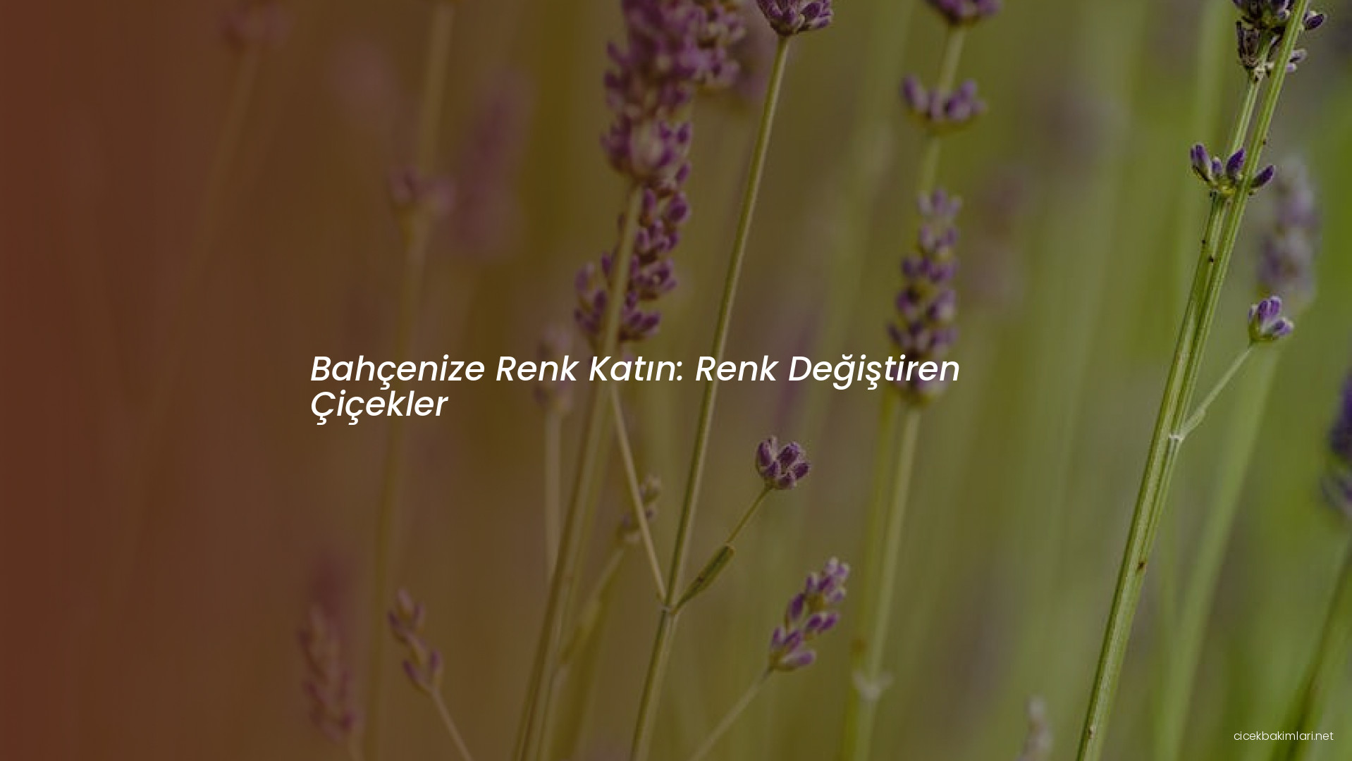 Bahçenize Renk Katın: Renk Değiştiren Çiçekler