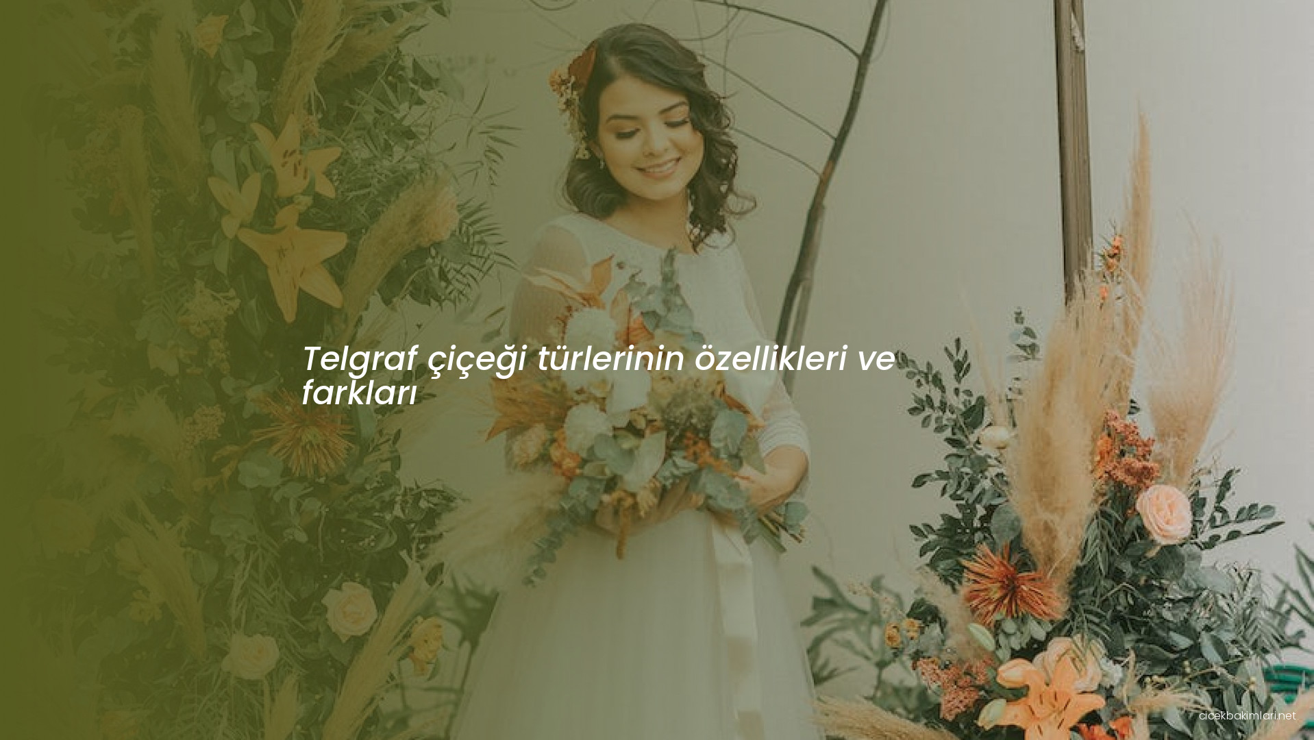 Telgraf çiçeği türlerinin özellikleri ve farkları