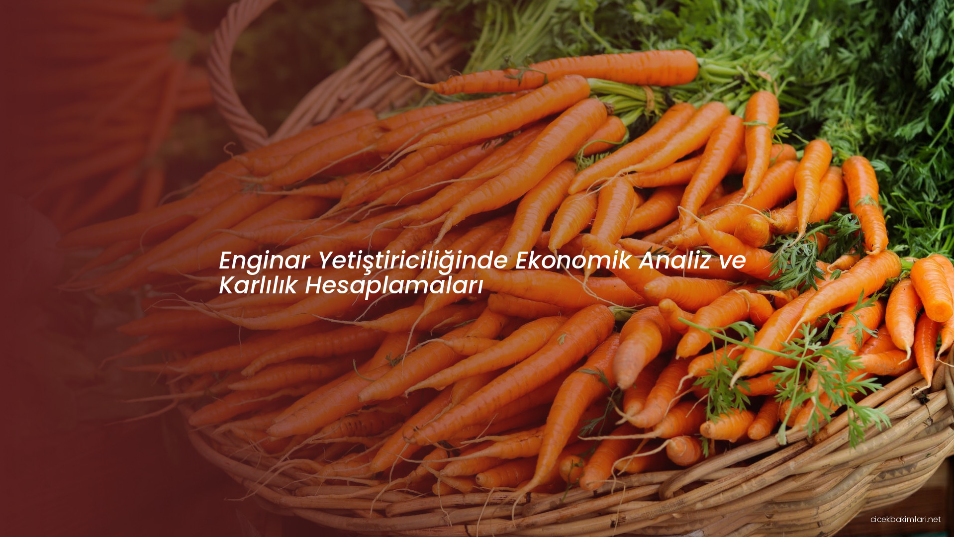 Enginar Yetiştiriciliğinde Ekonomik Analiz ve Karlılık Hesaplamaları