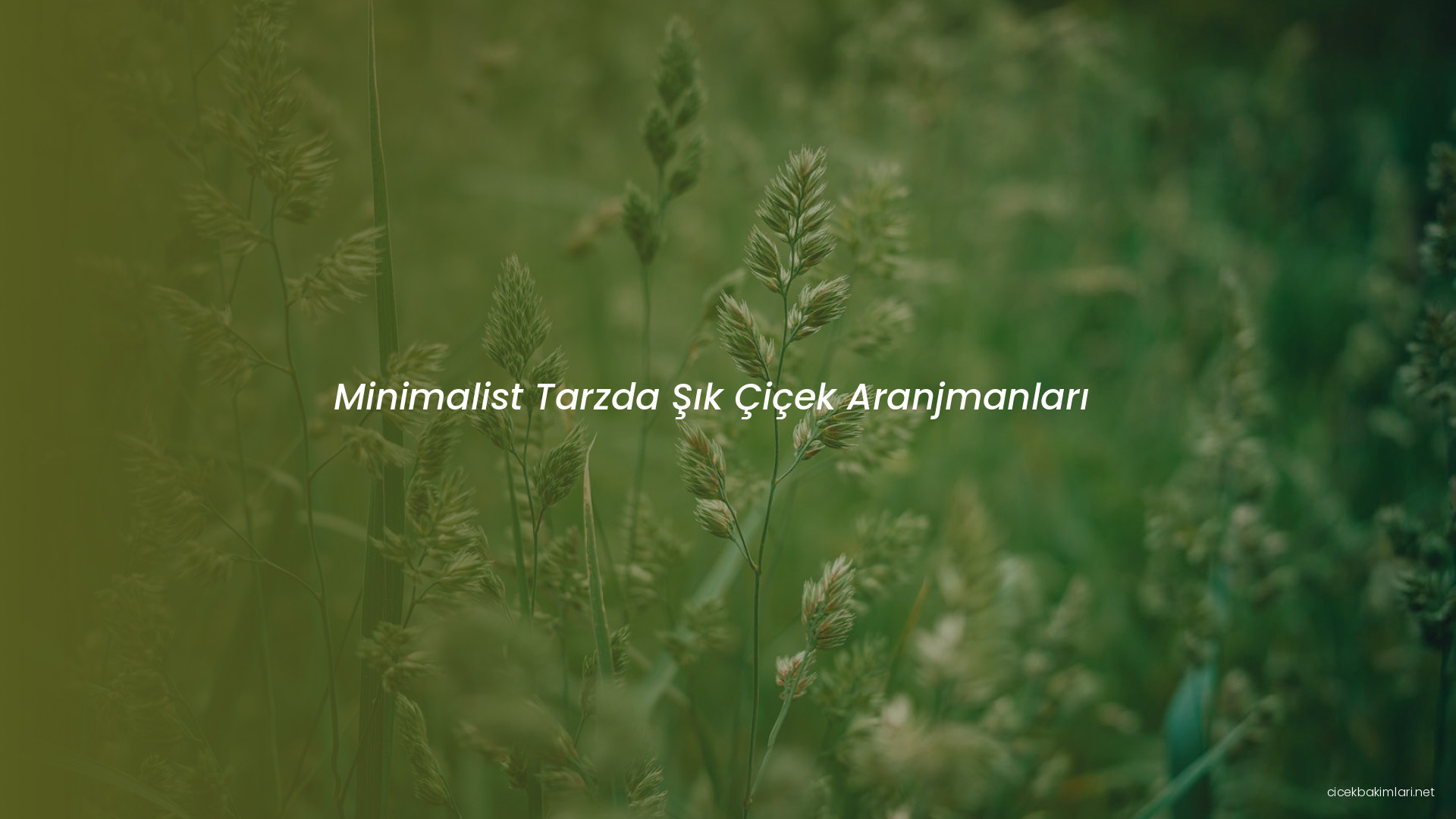 Minimalist Tarzda Şık Çiçek Aranjmanları