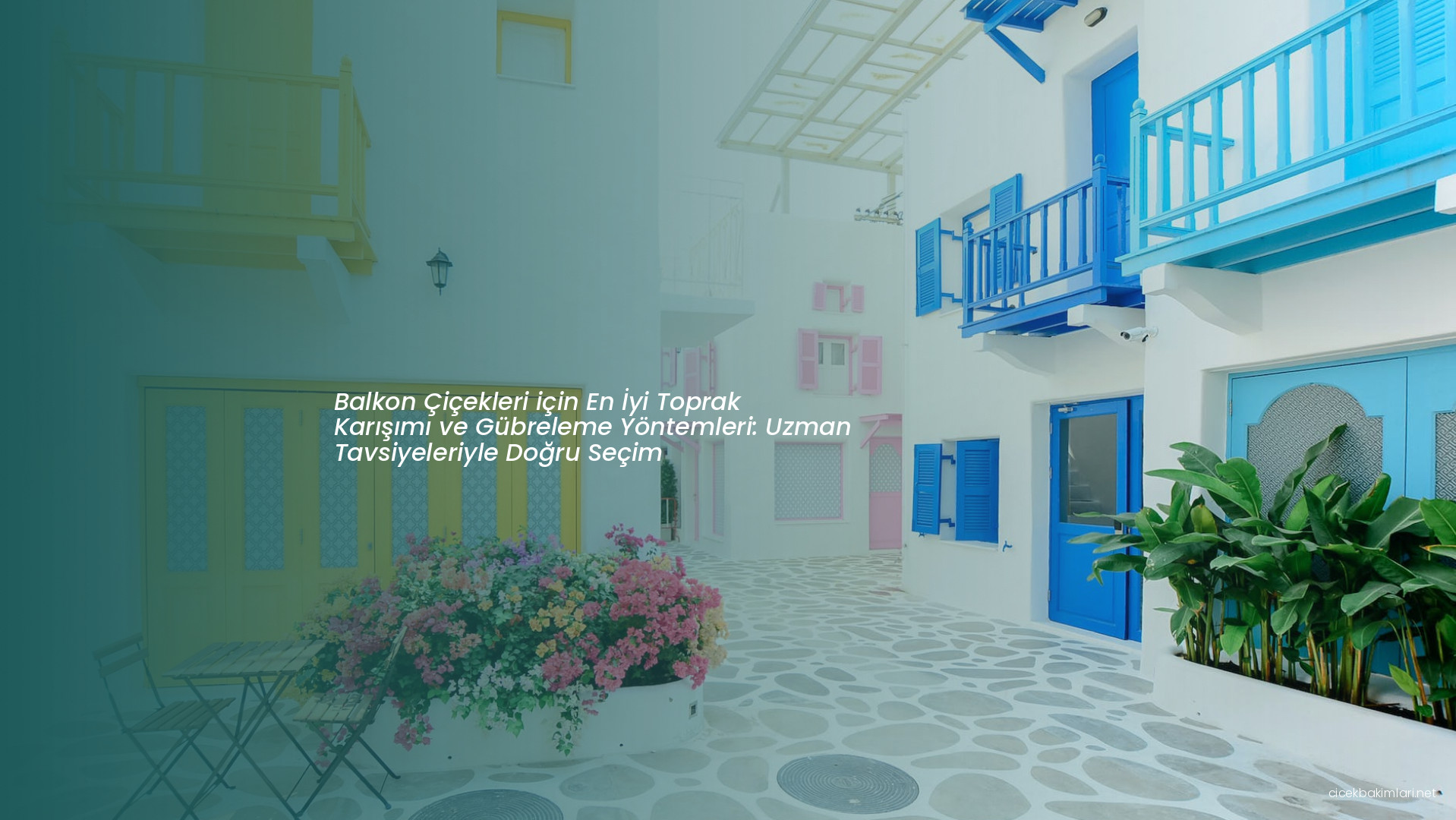 Balkon Çiçekleri için En İyi Toprak Karışımı ve Gübreleme Yöntemleri: Uzman Tavsiyeleriyle Doğru Seçim