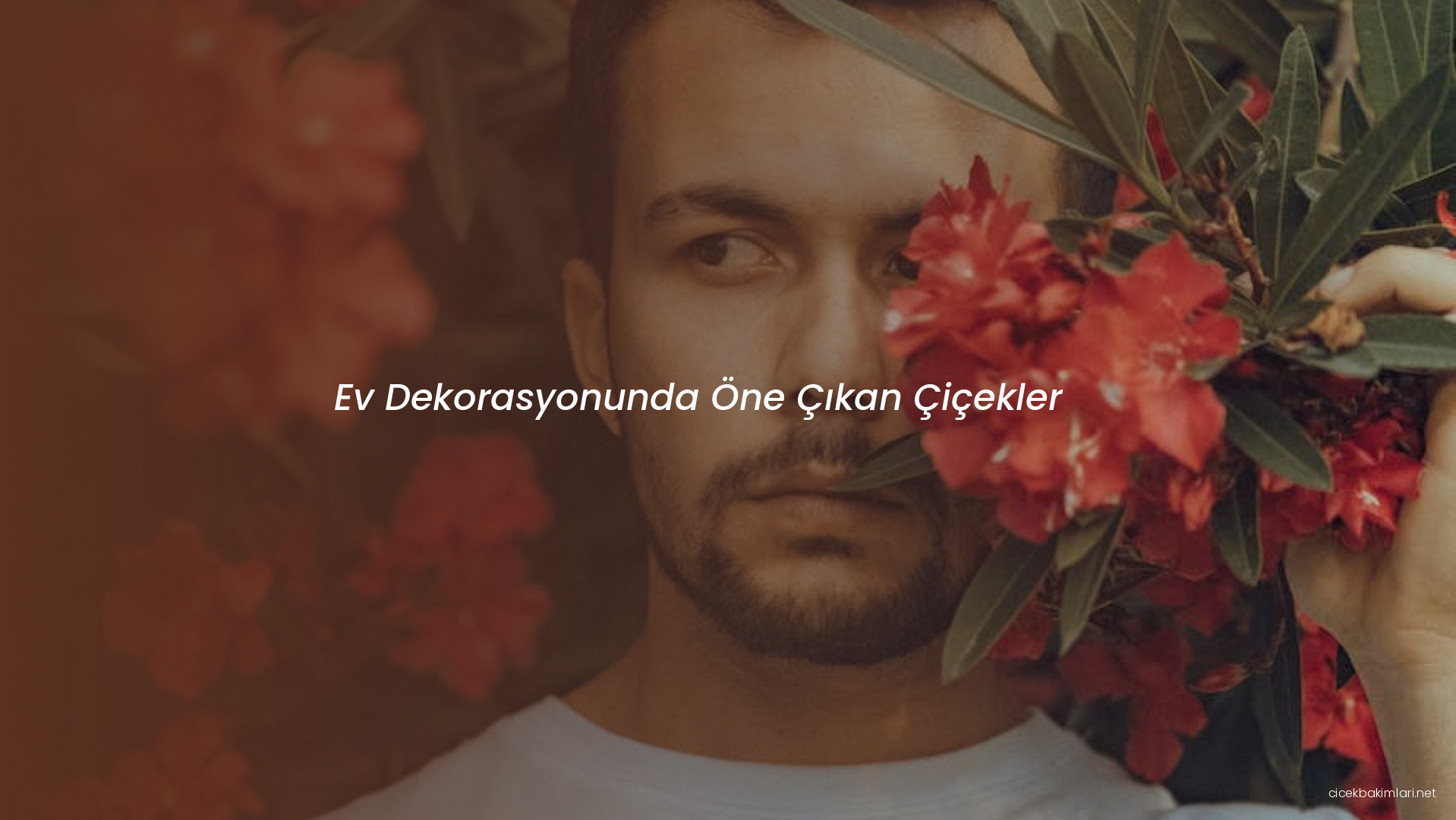 Ev Dekorasyonunda Öne Çıkan Çiçekler