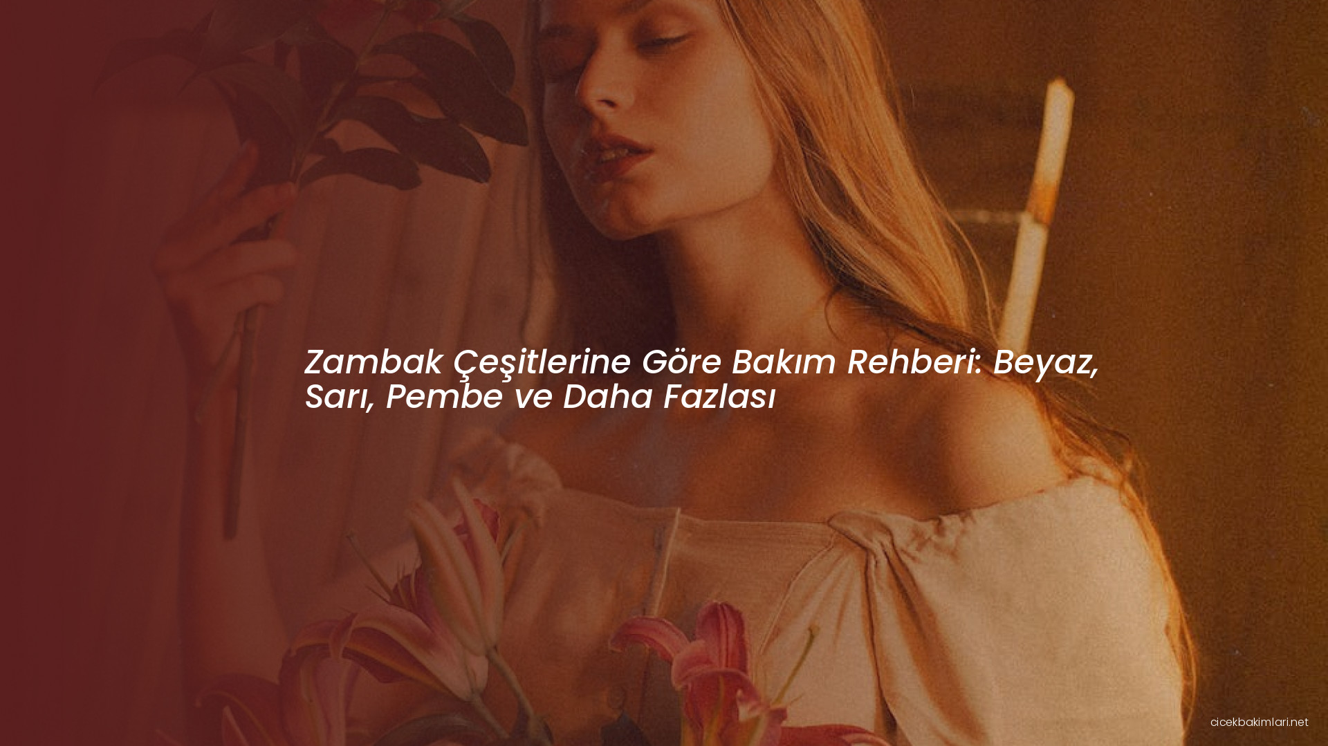 Zambak Çeşitlerine Göre Bakım Rehberi: Beyaz, Sarı, Pembe ve Daha Fazlası