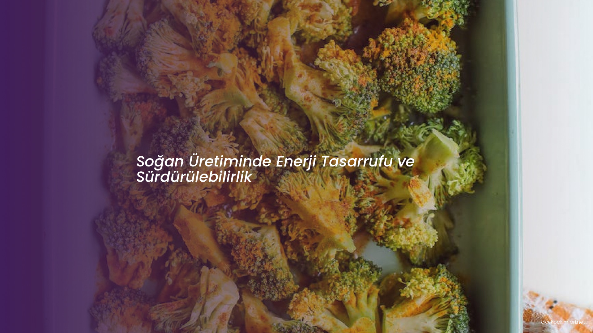 Soğan Üretiminde Enerji Tasarrufu ve Sürdürülebilirlik