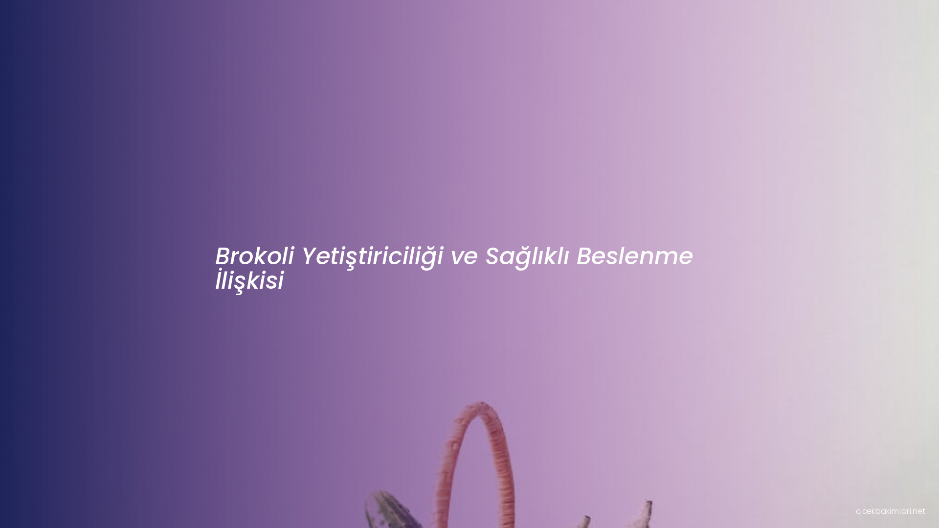 Brokoli Yetiştiriciliği ve Sağlıklı Beslenme İlişkisi