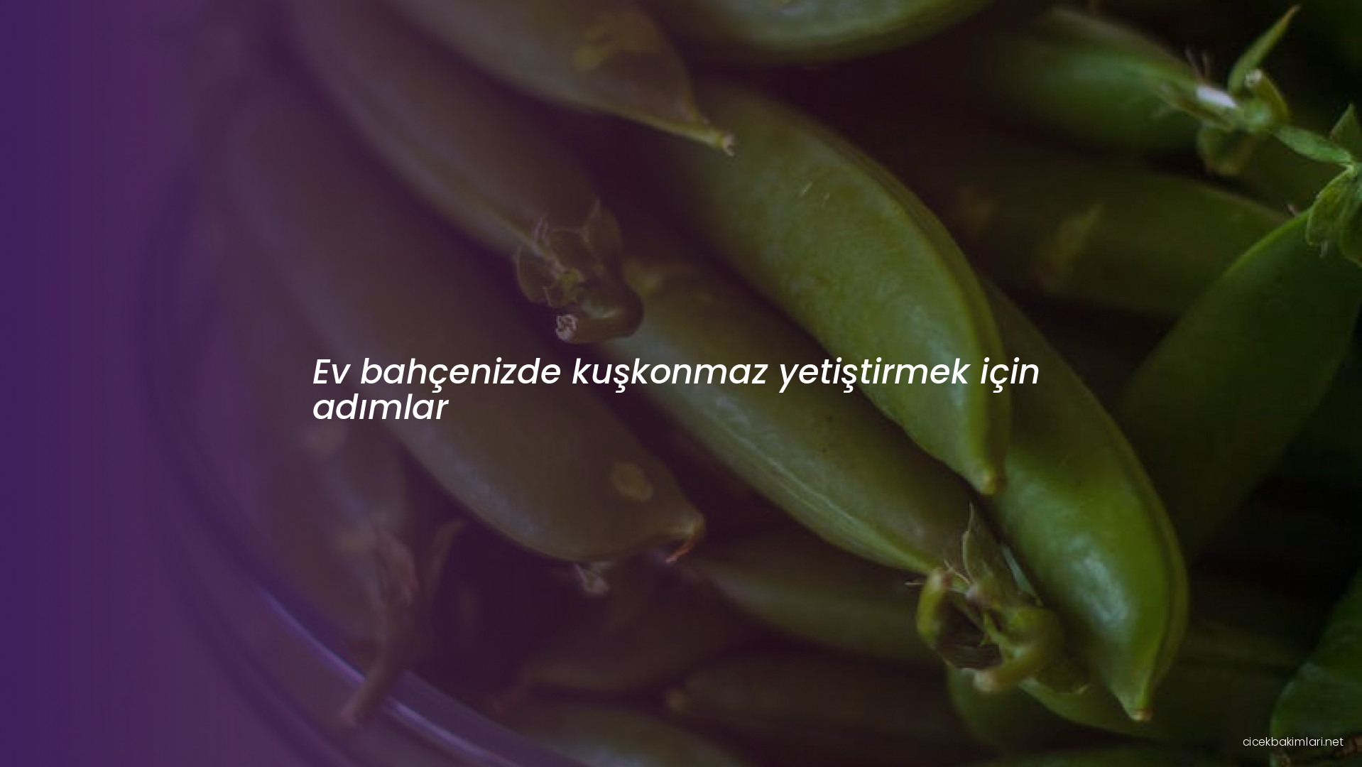 Ev bahçenizde kuşkonmaz yetiştirmek için adımlar